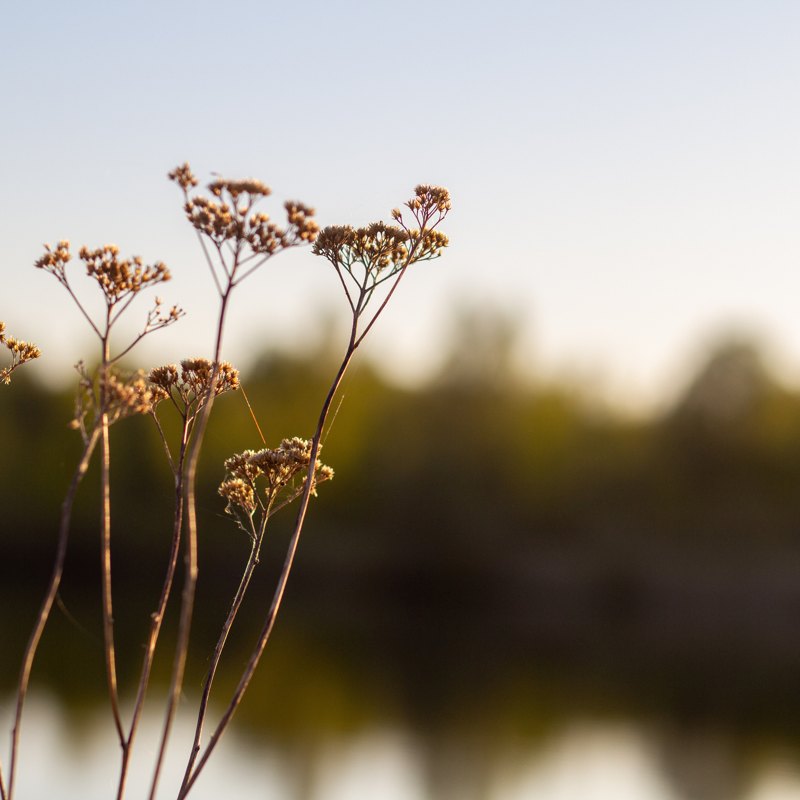 Ольга Степанова фотограф визажист в Санкт-Петербурге