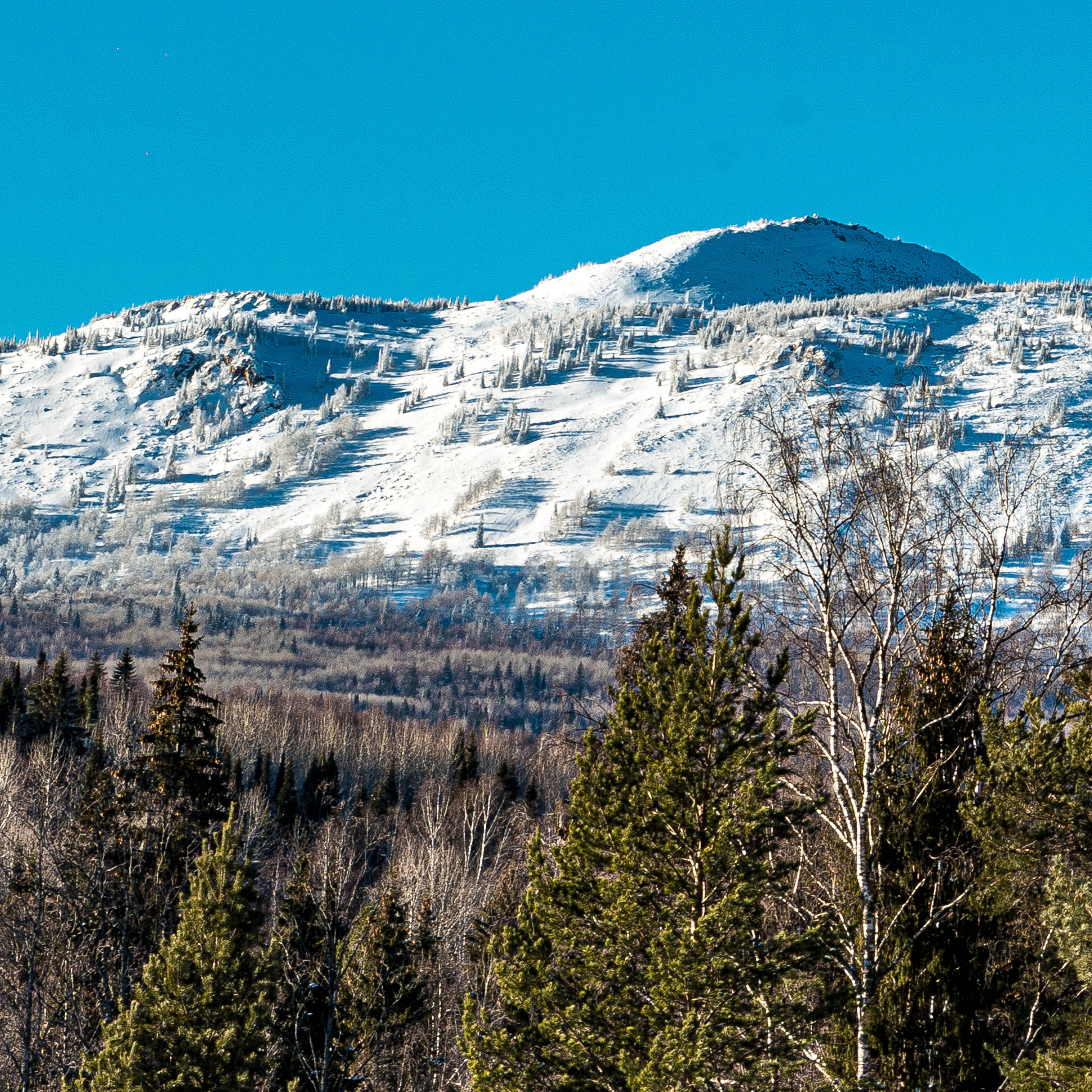 Отзывы. Свадебный фотограф на Урале Виктор Соколов