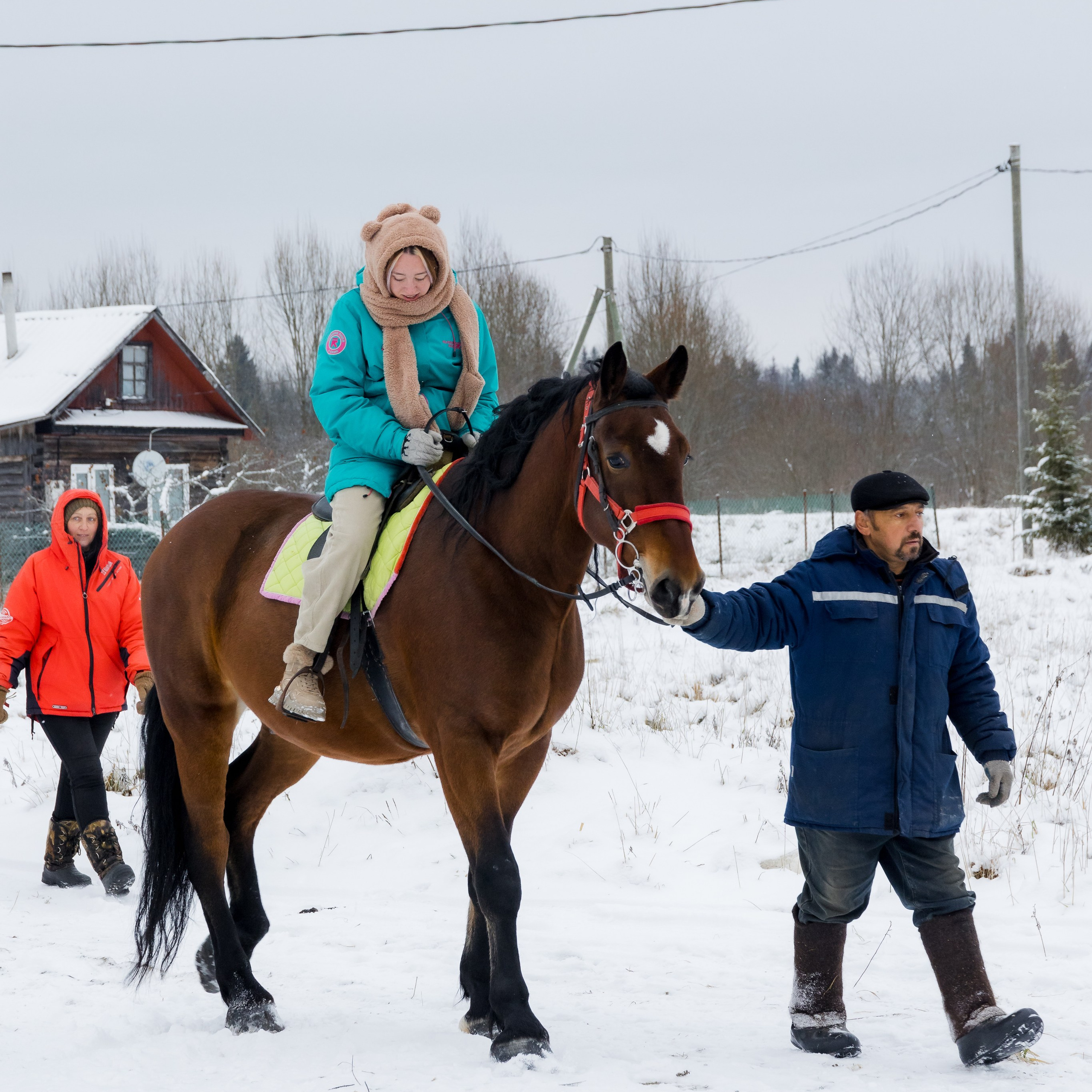 Миниферма в Теребочево