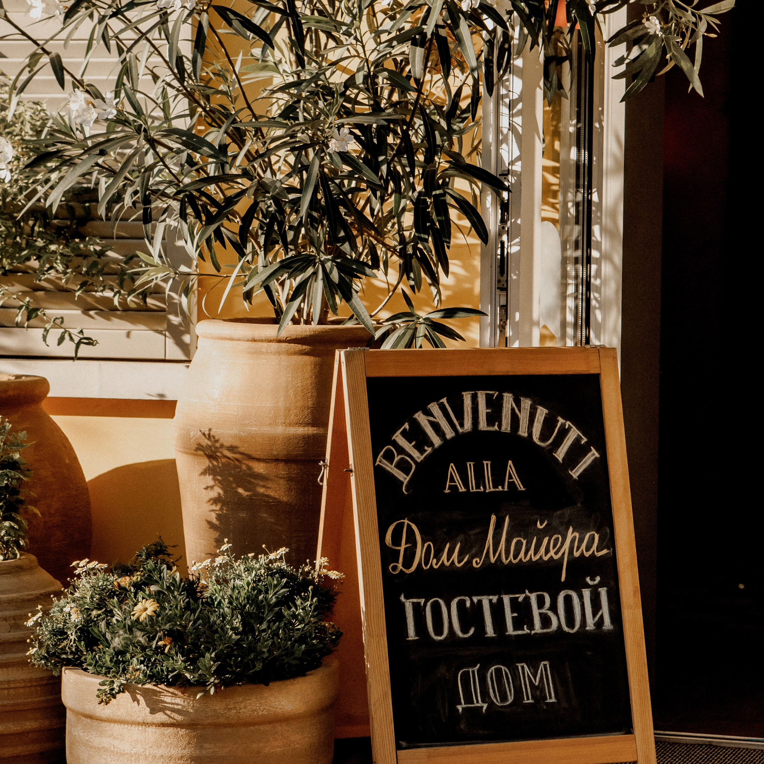 Дом Майера. День рождения