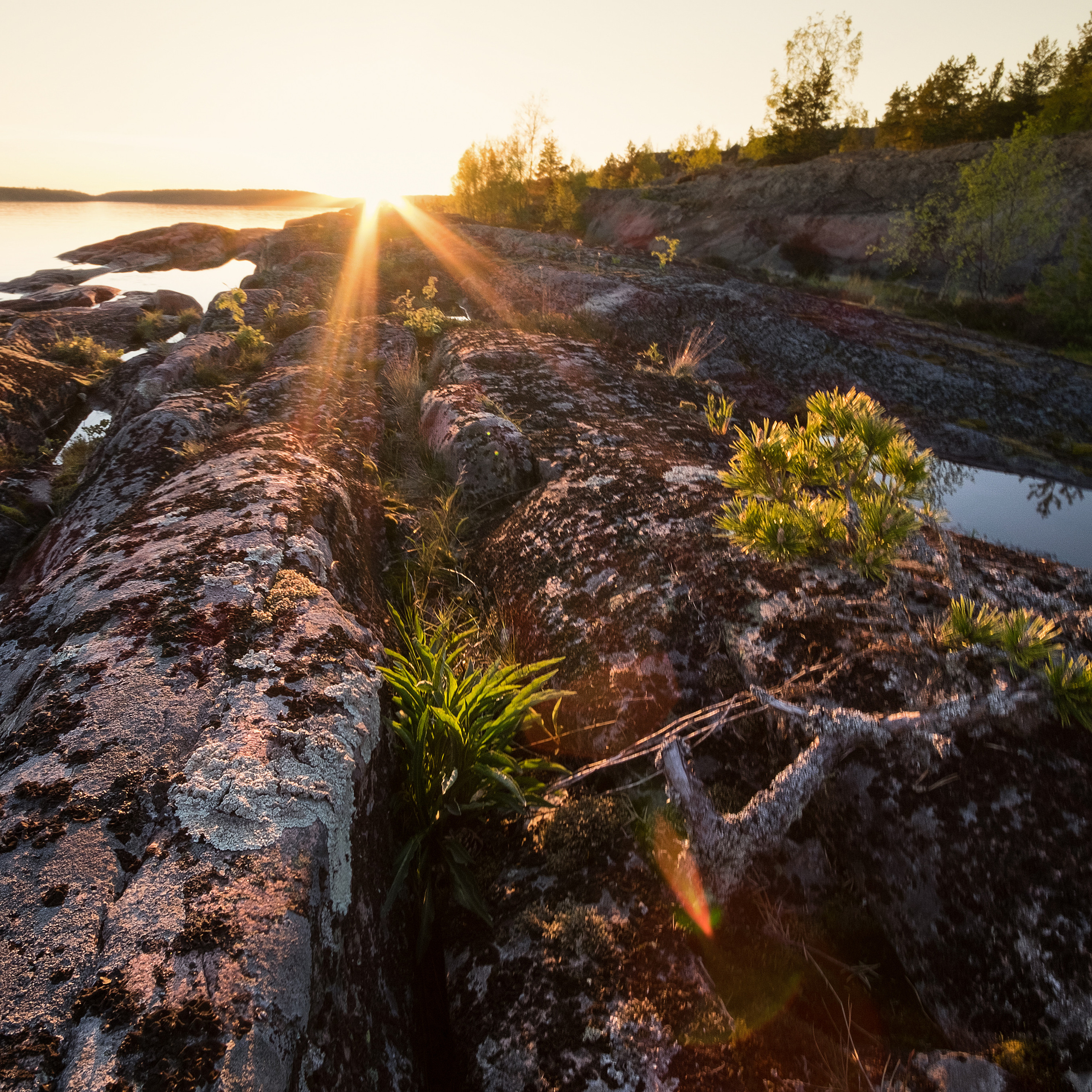 Карелия. Антон Денисенко