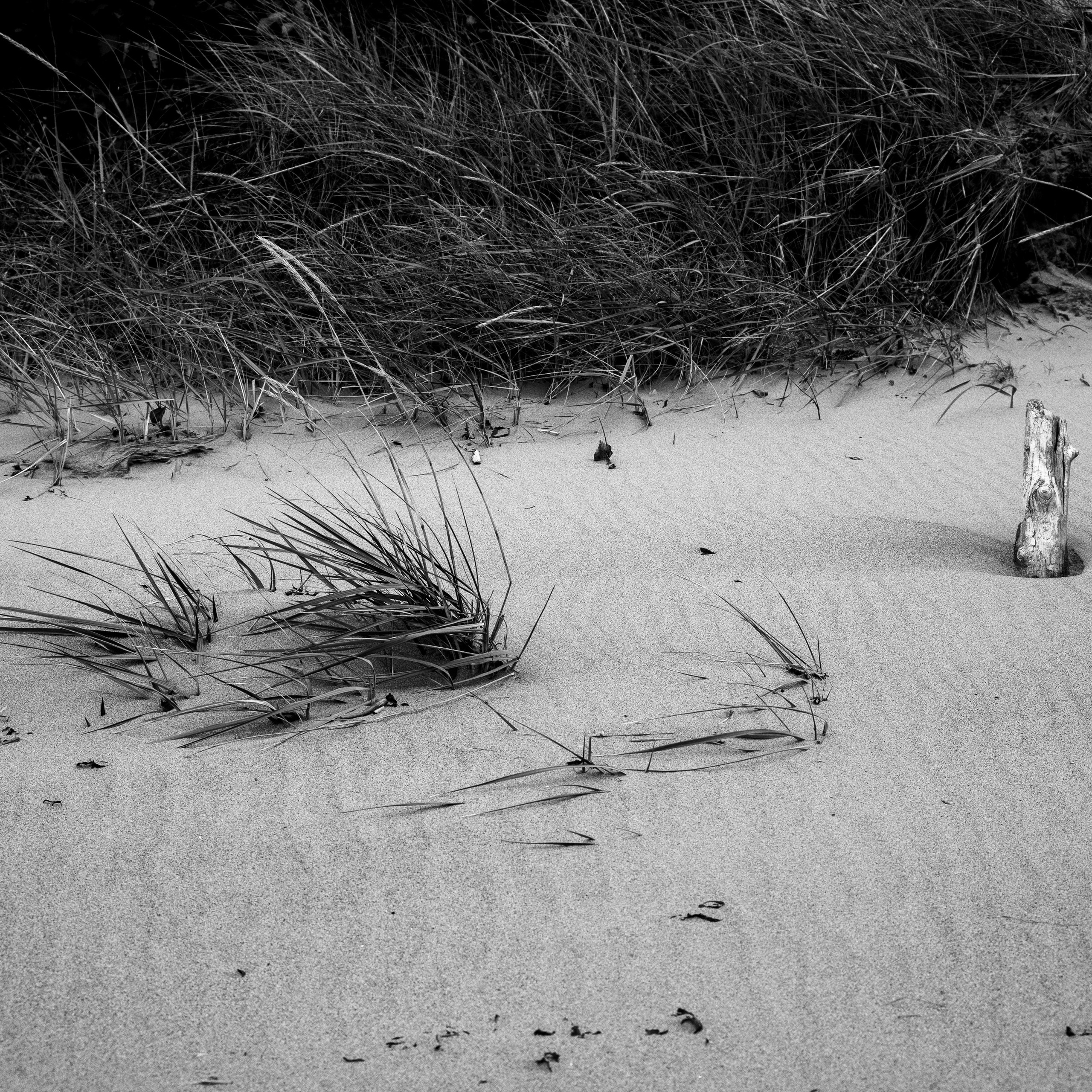 Деревня / Север I. Антон Денисенко