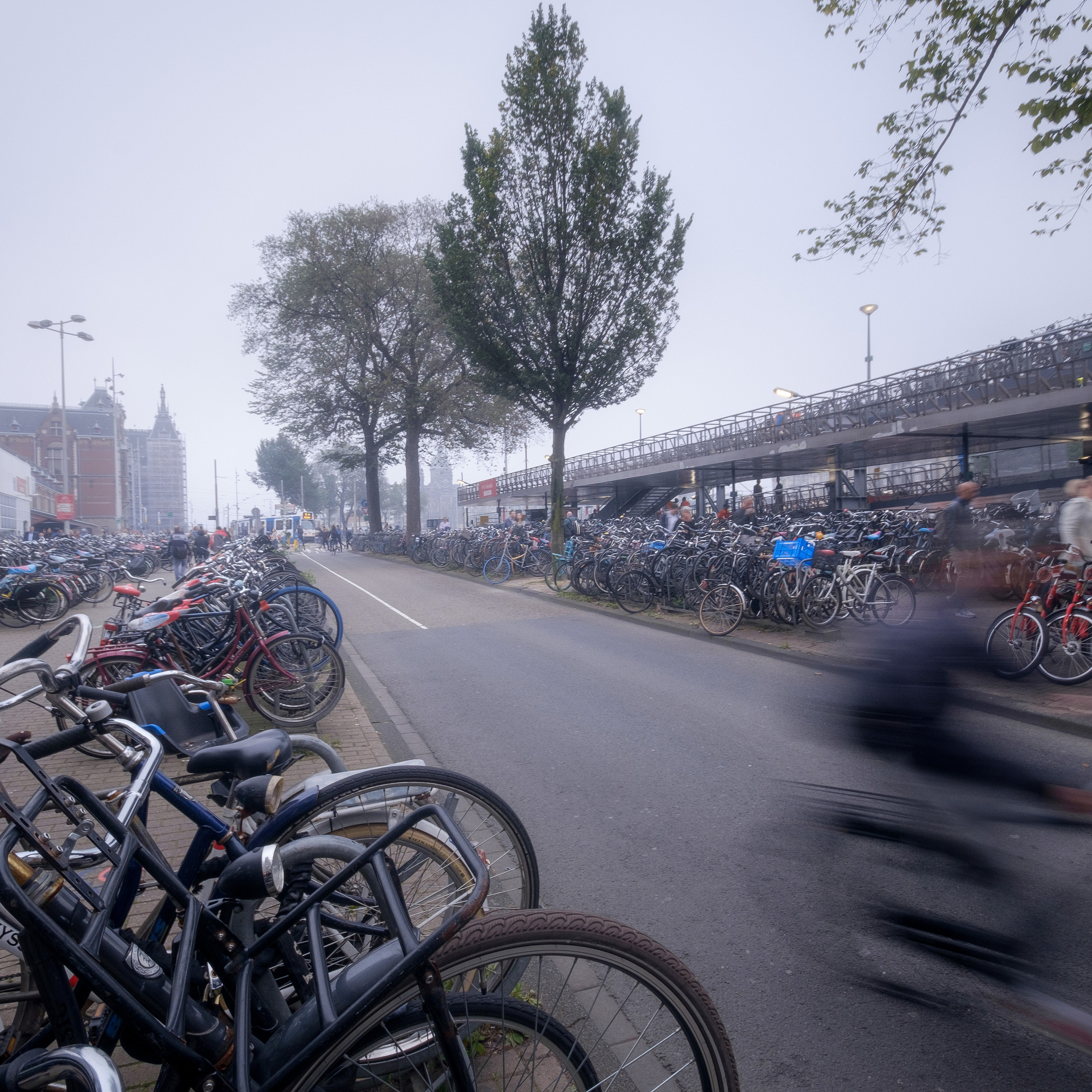 Амстердам I. Антон Денисенко