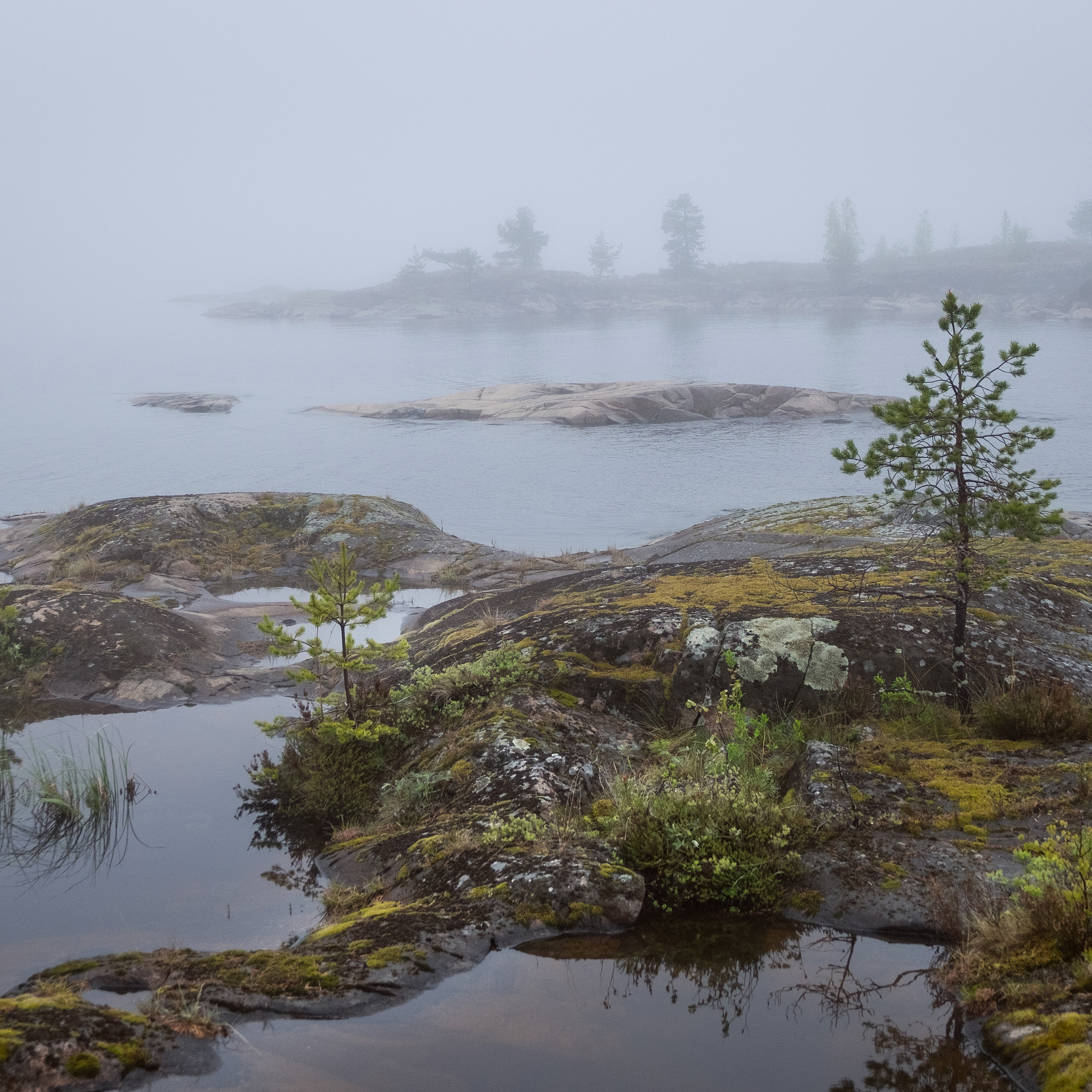 Карелия. Антон Денисенко