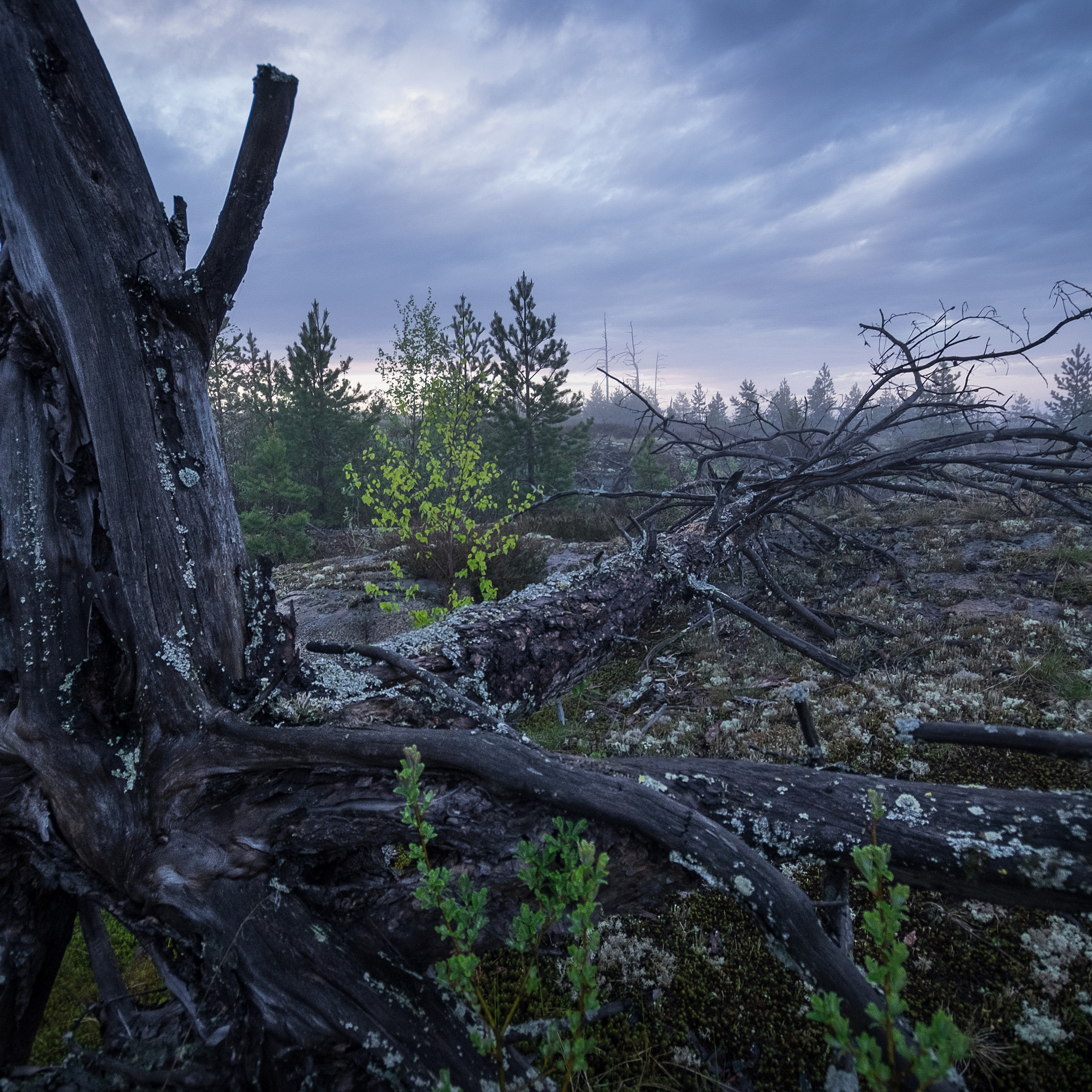 Карелия. Антон Денисенко