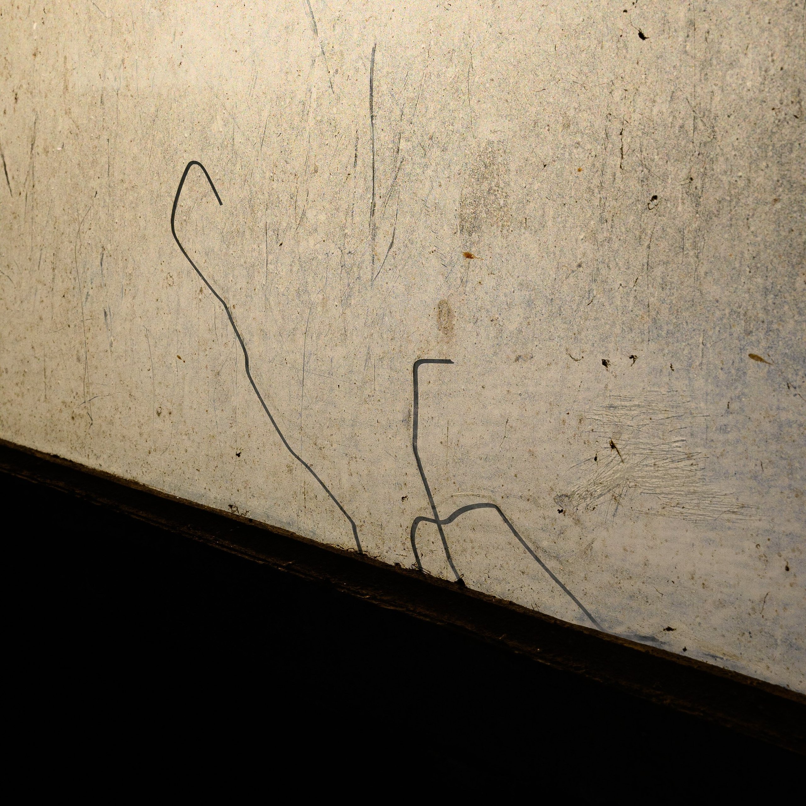 Увидеть свет. Антон Денисенко