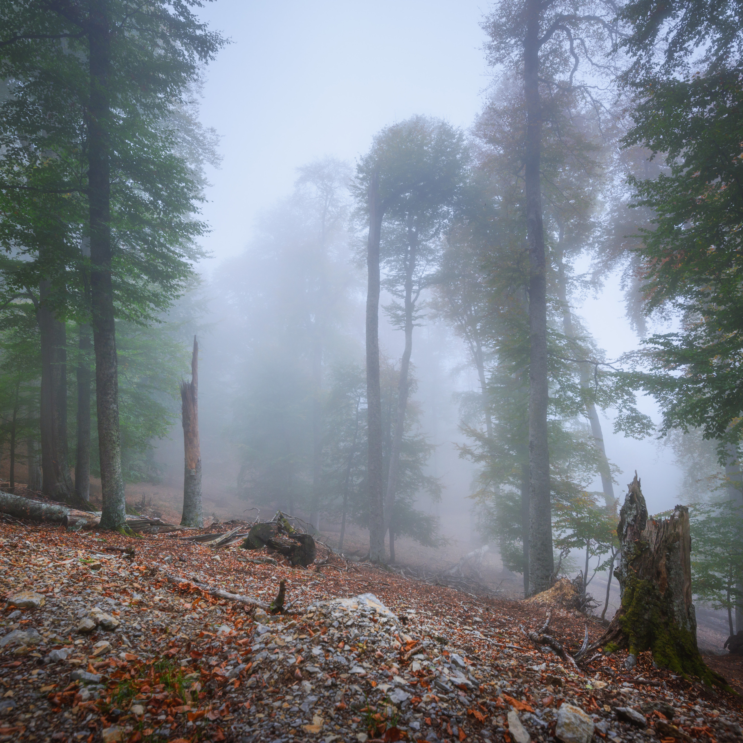 Крым. Антон Денисенко