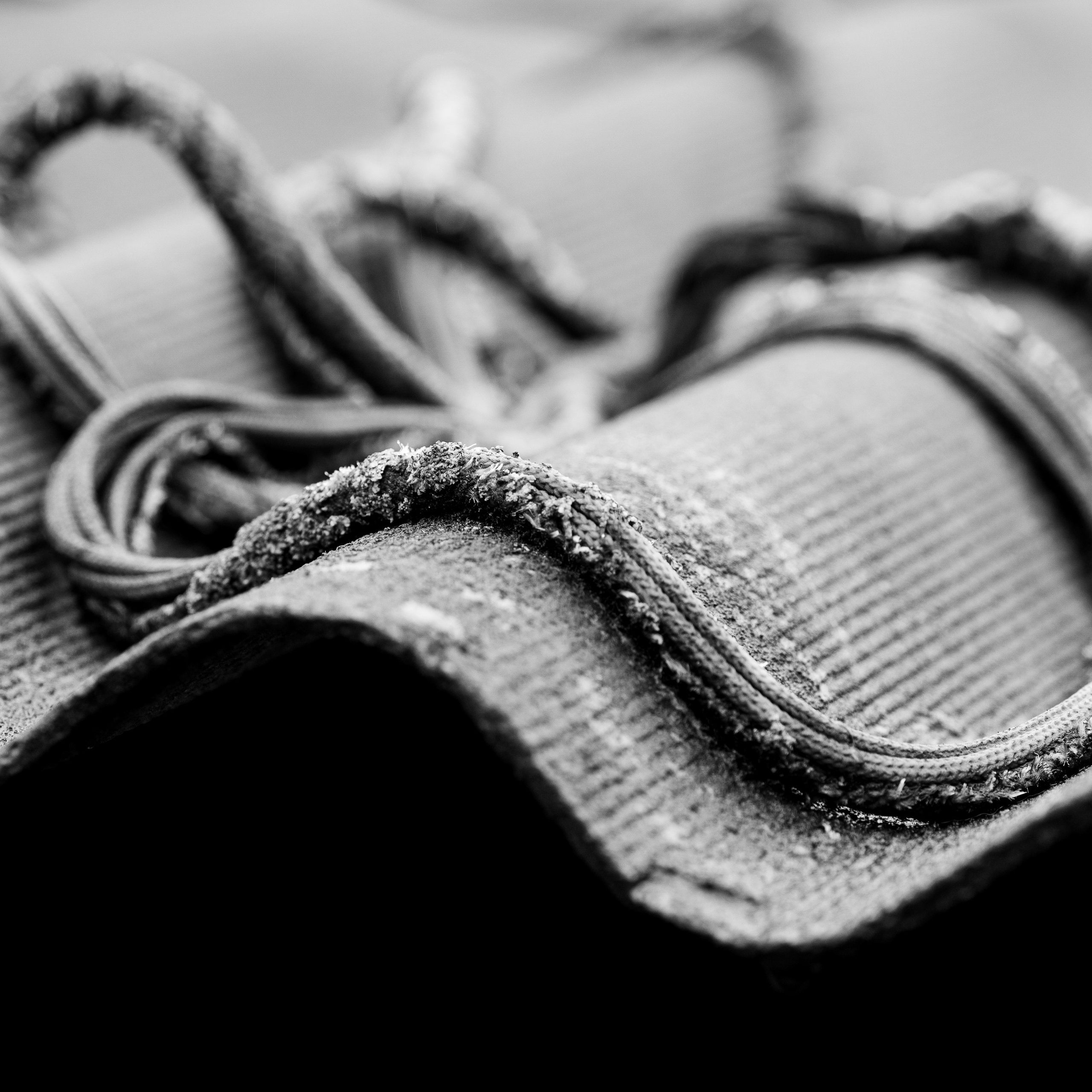 Деревня / Юг. Антон Денисенко