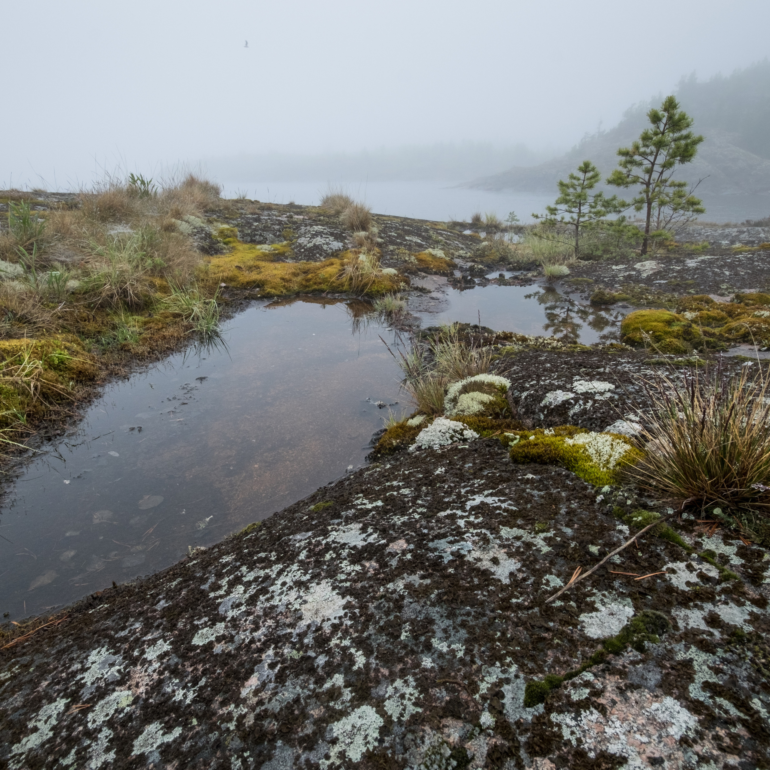 Карелия. Антон Денисенко