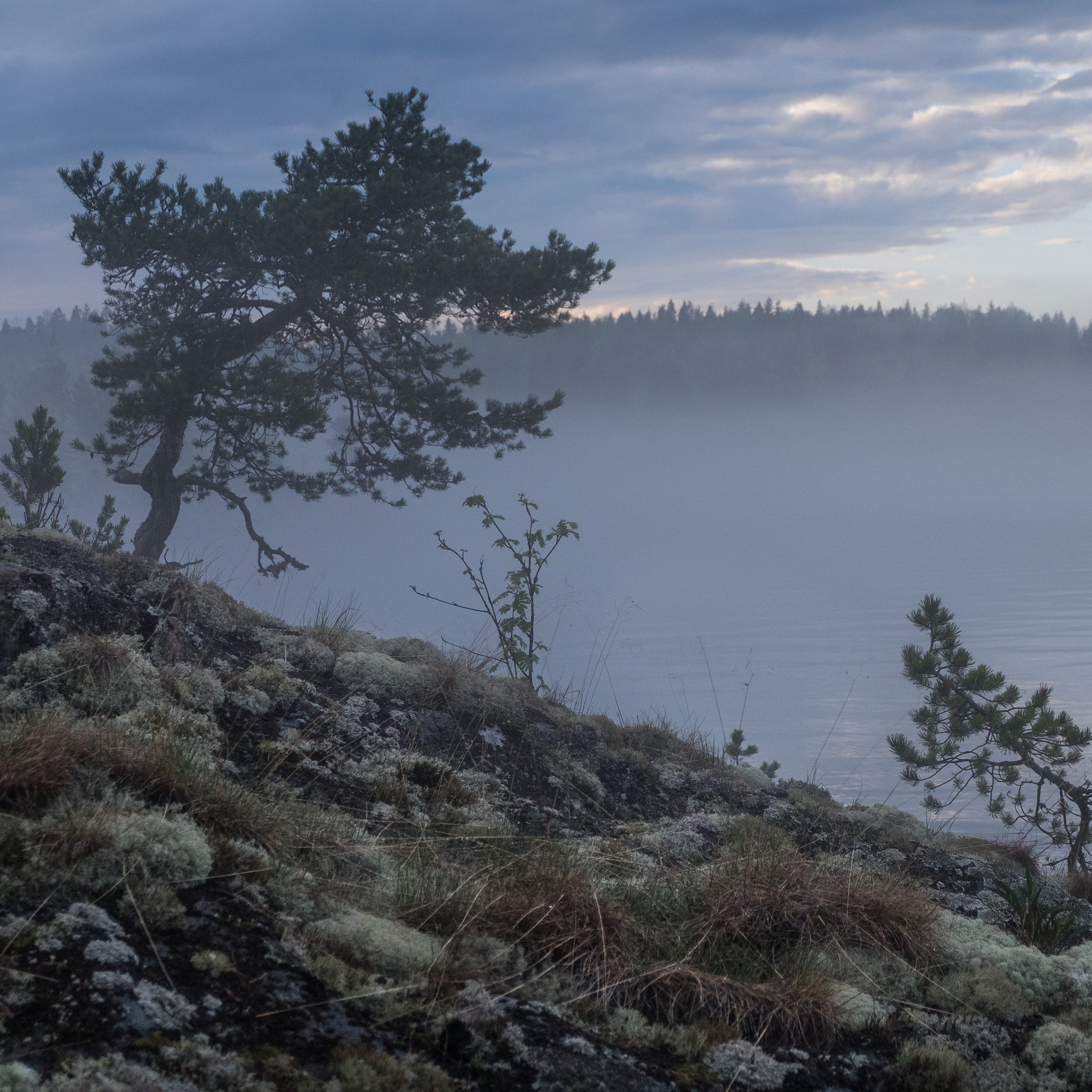 Карелия. Антон Денисенко