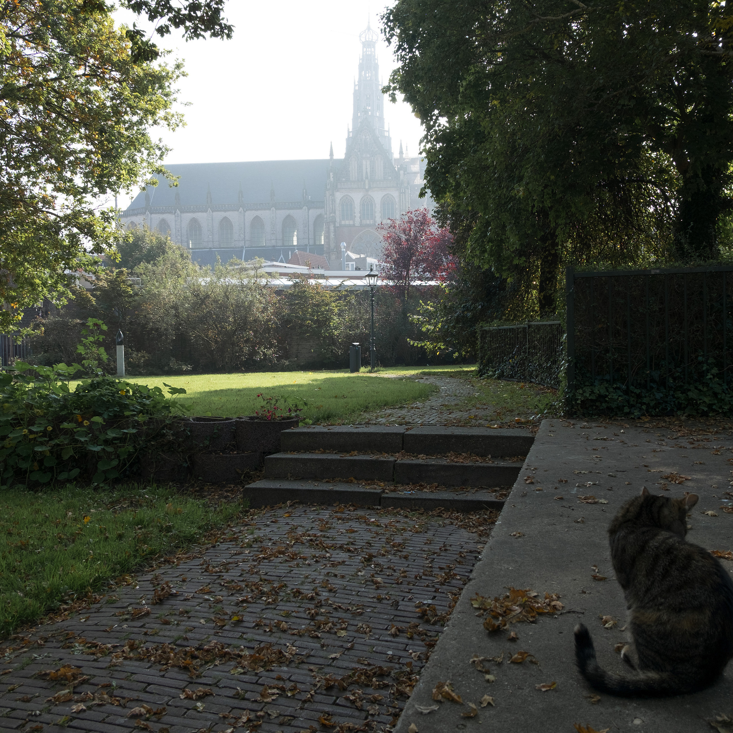 Амстердам I. Антон Денисенко