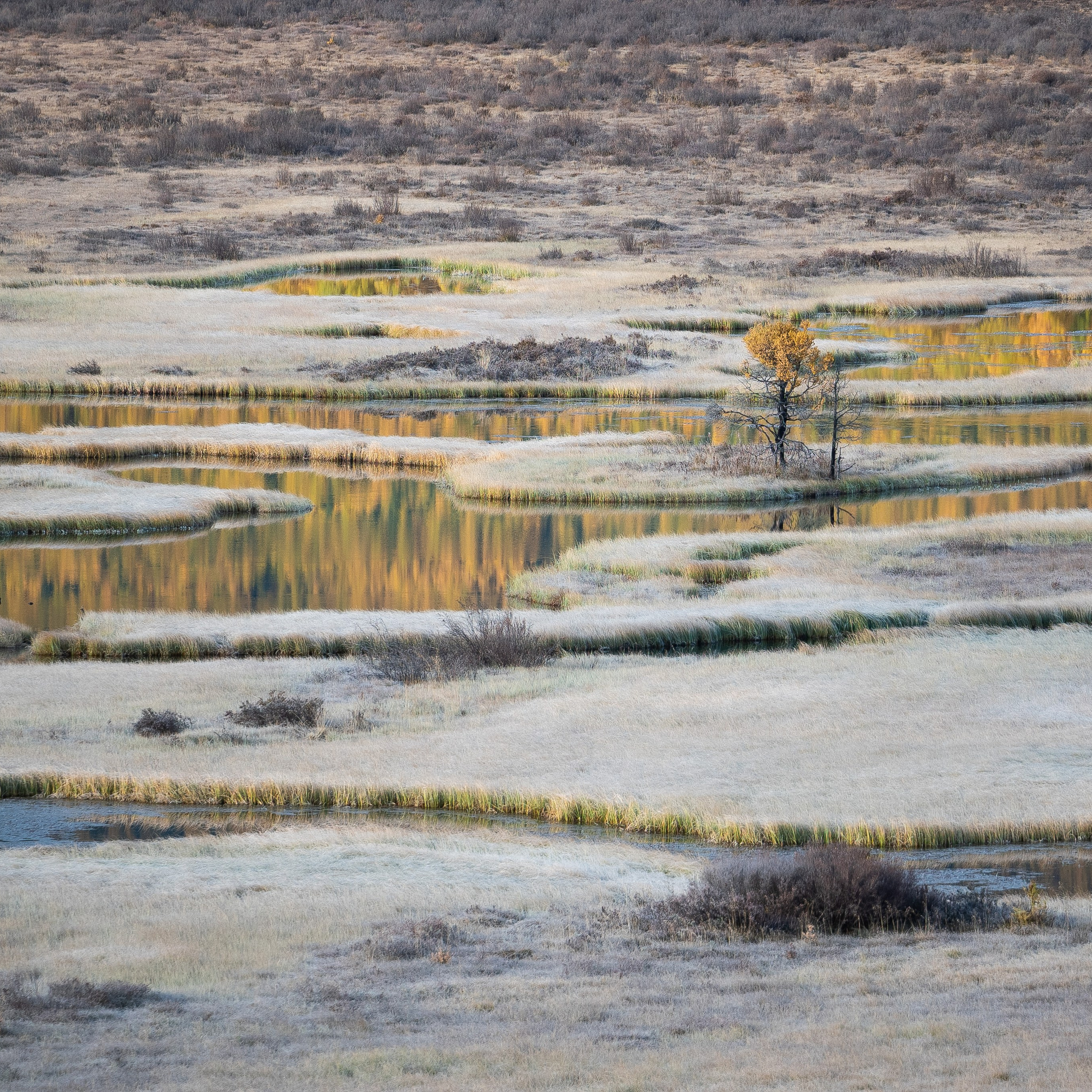 Горный Алтай. Антон Денисенко