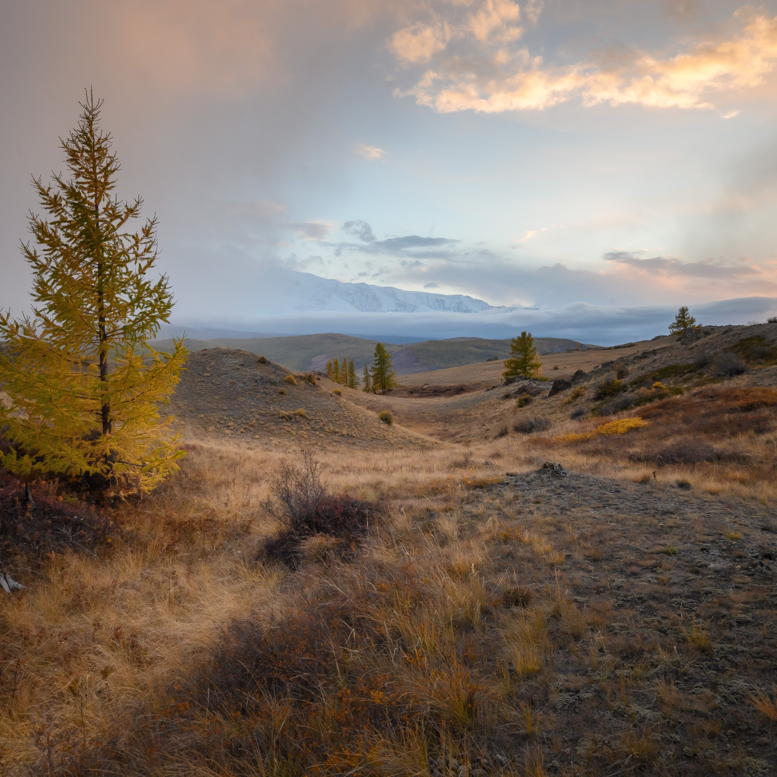 Горный Алтай. Антон Денисенко