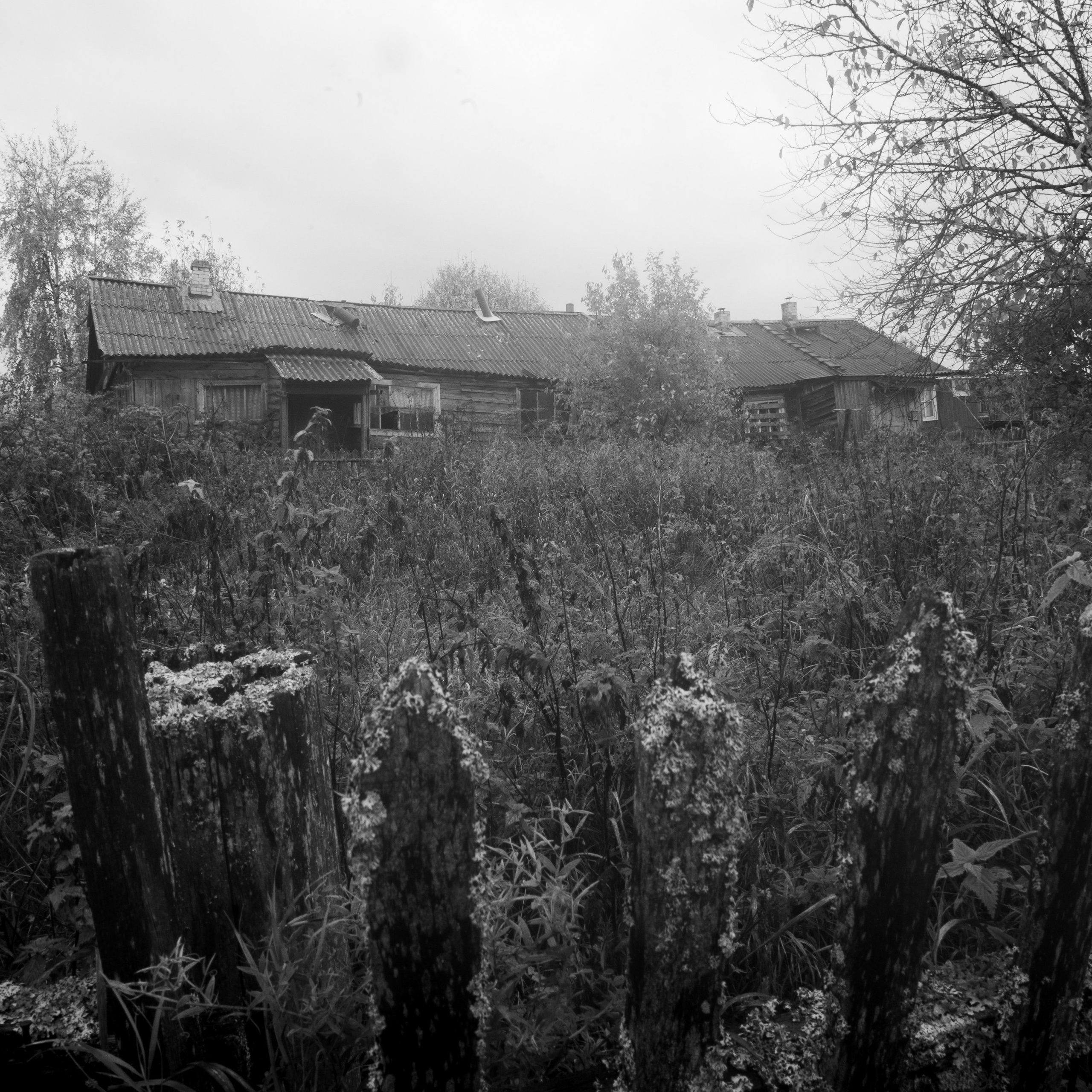 Деревня / Север II. Антон Денисенко