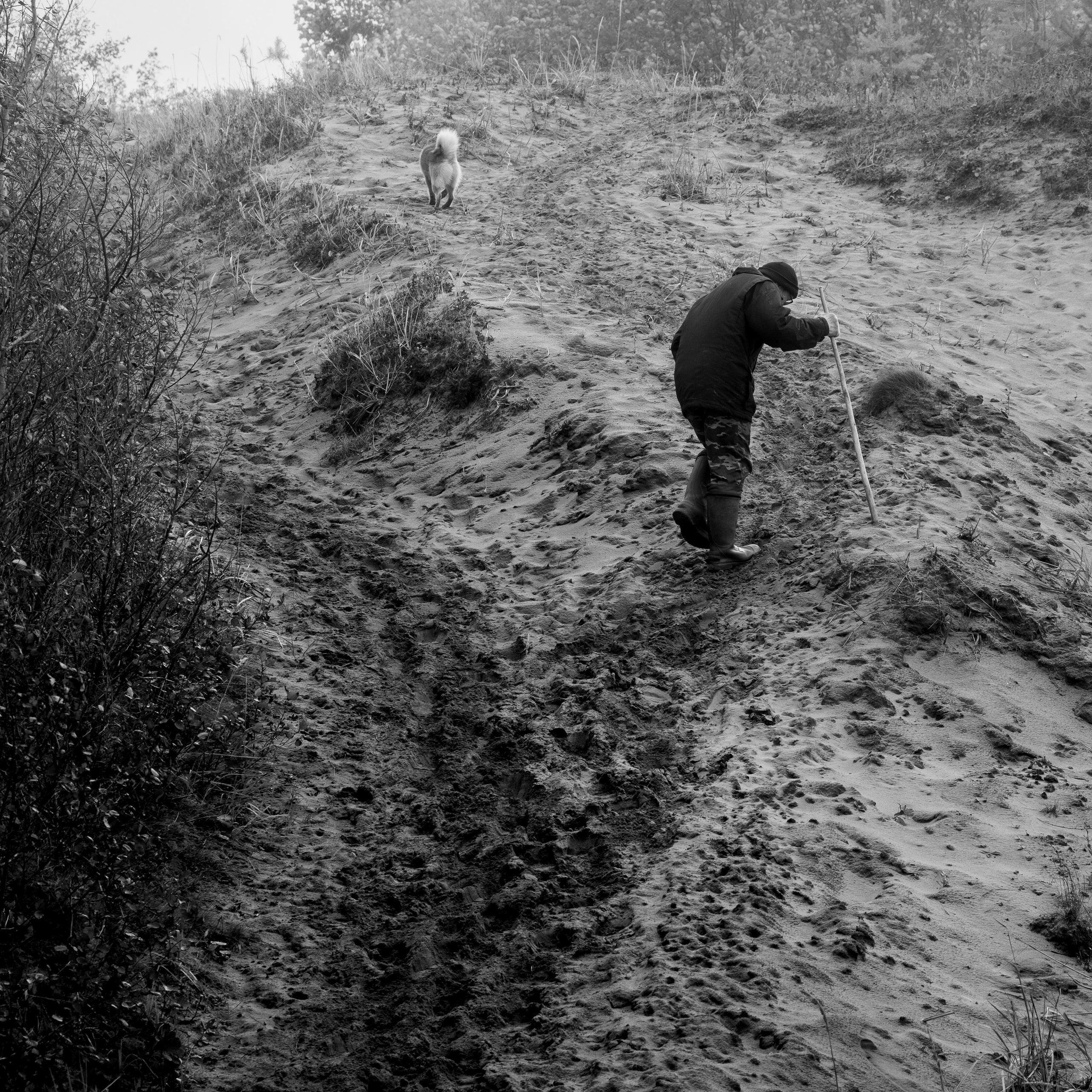 Деревня / Север I. Антон Денисенко