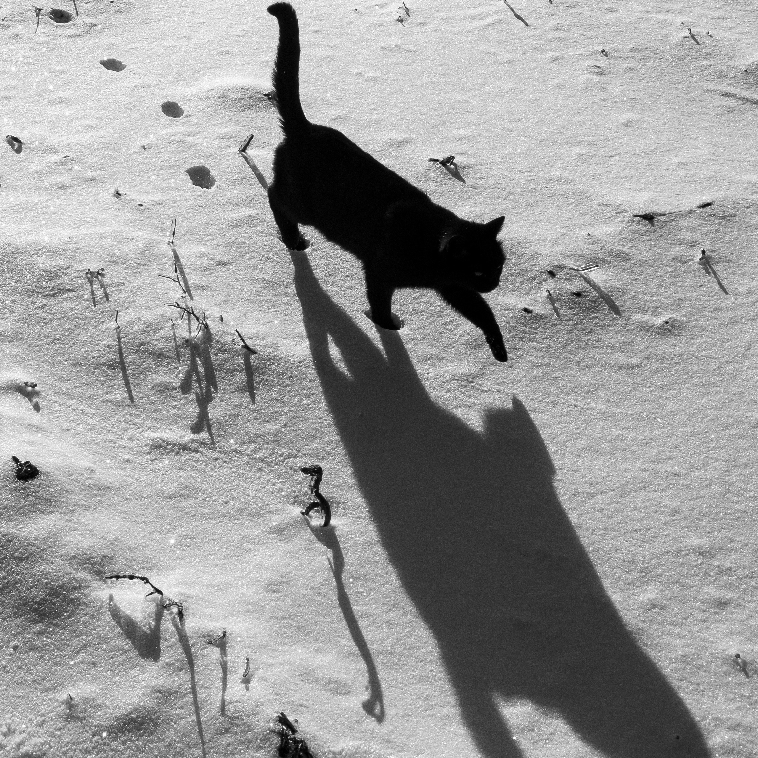 Деревня / Ферма. Антон Денисенко