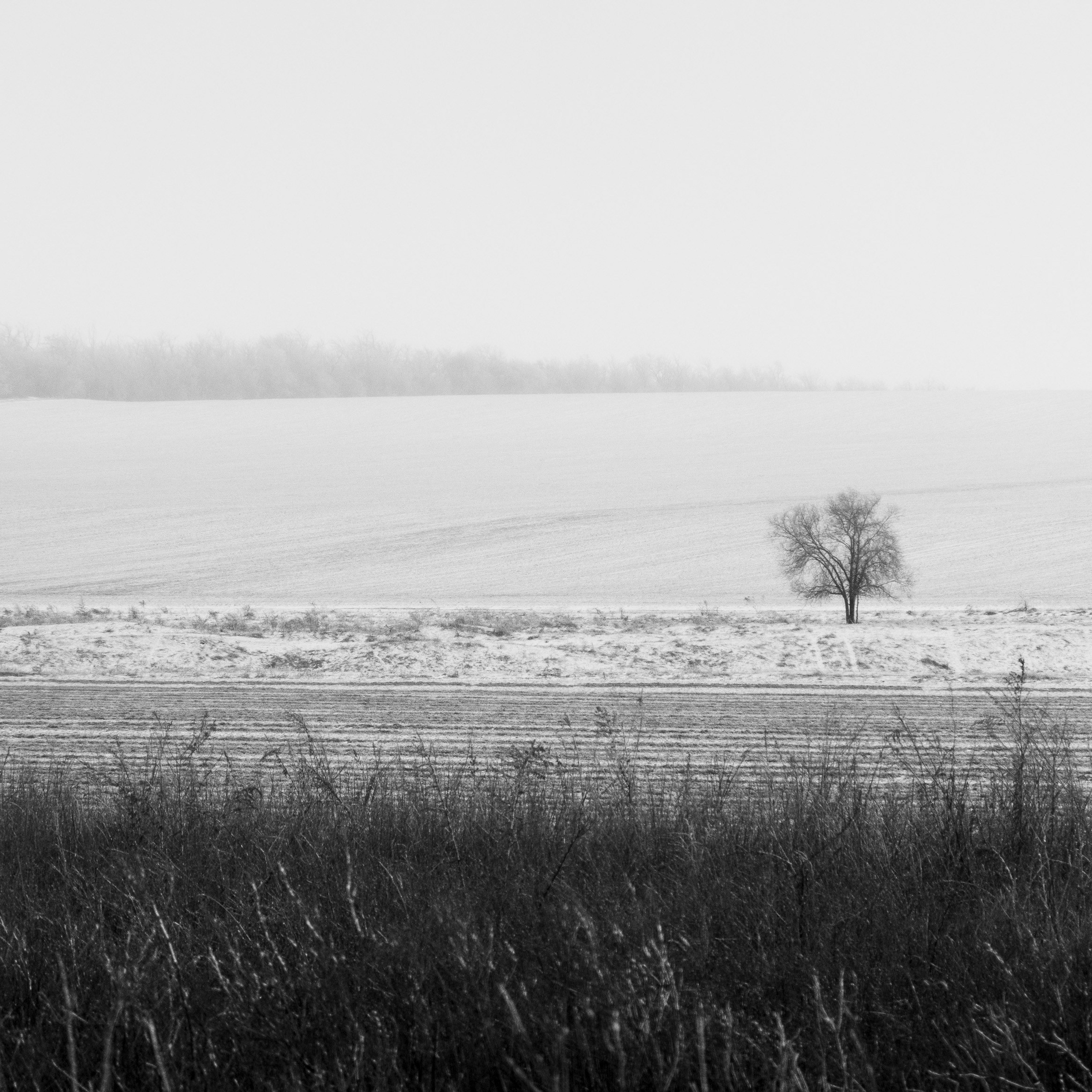 Деревня / Юг. Антон Денисенко