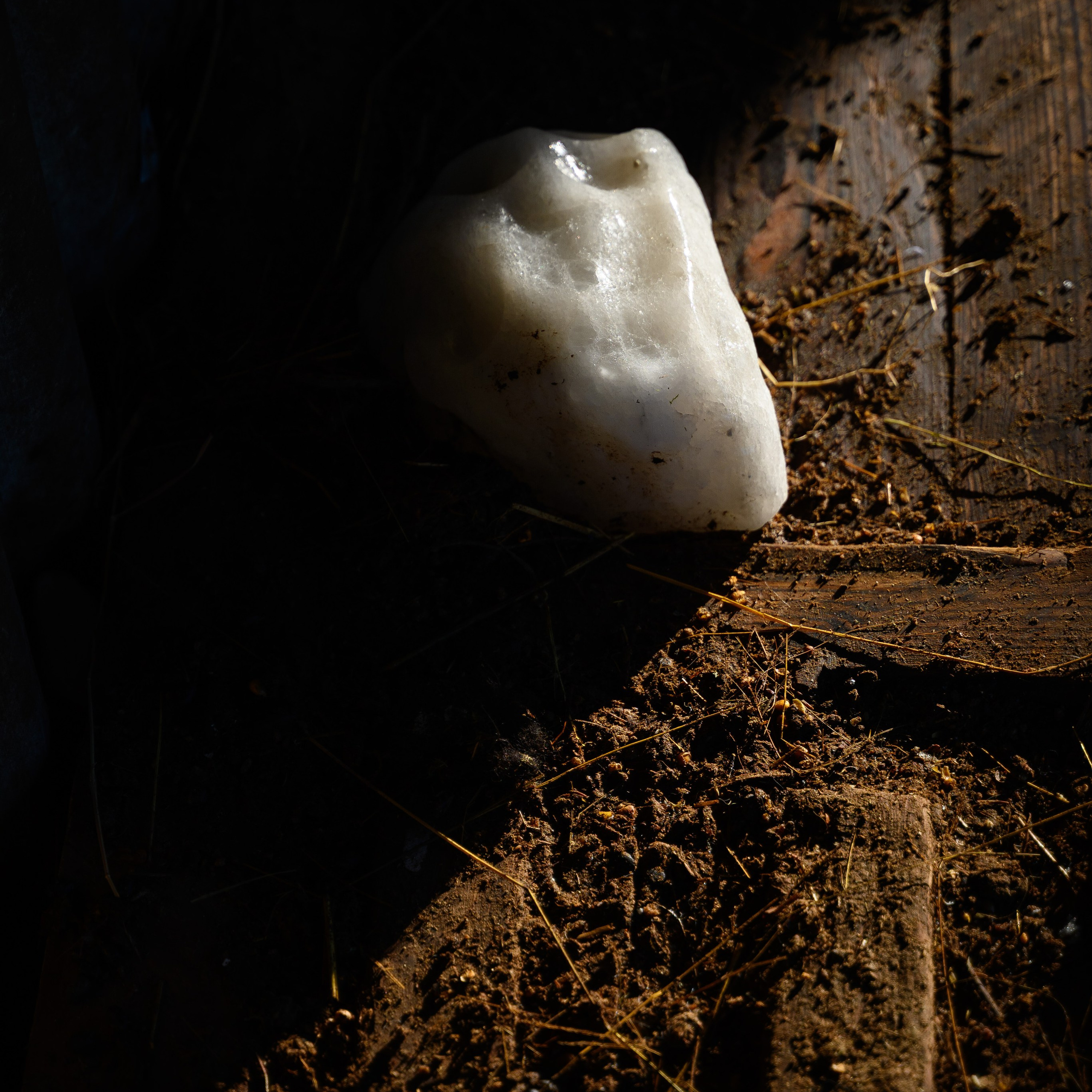 Увидеть свет. Антон Денисенко