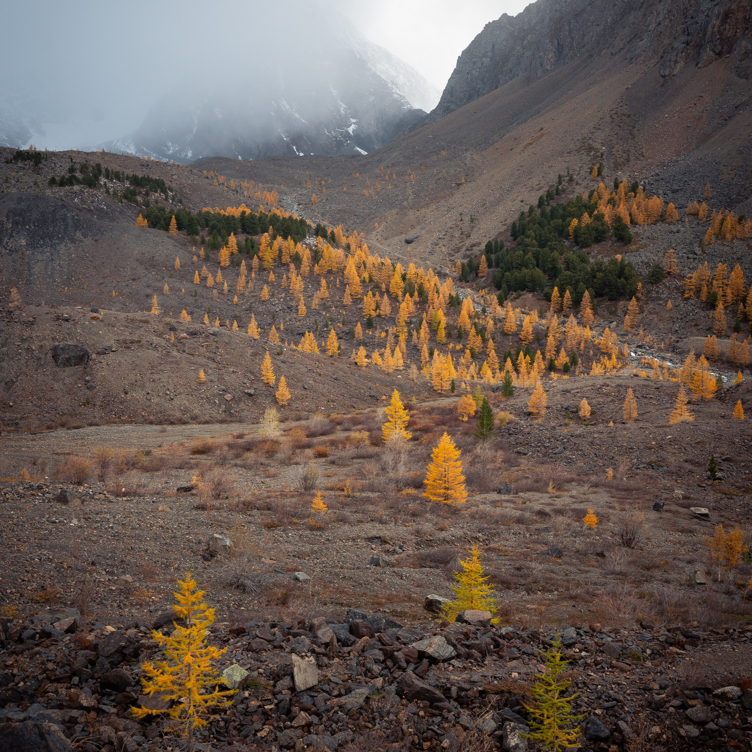 Горный Алтай. Антон Денисенко