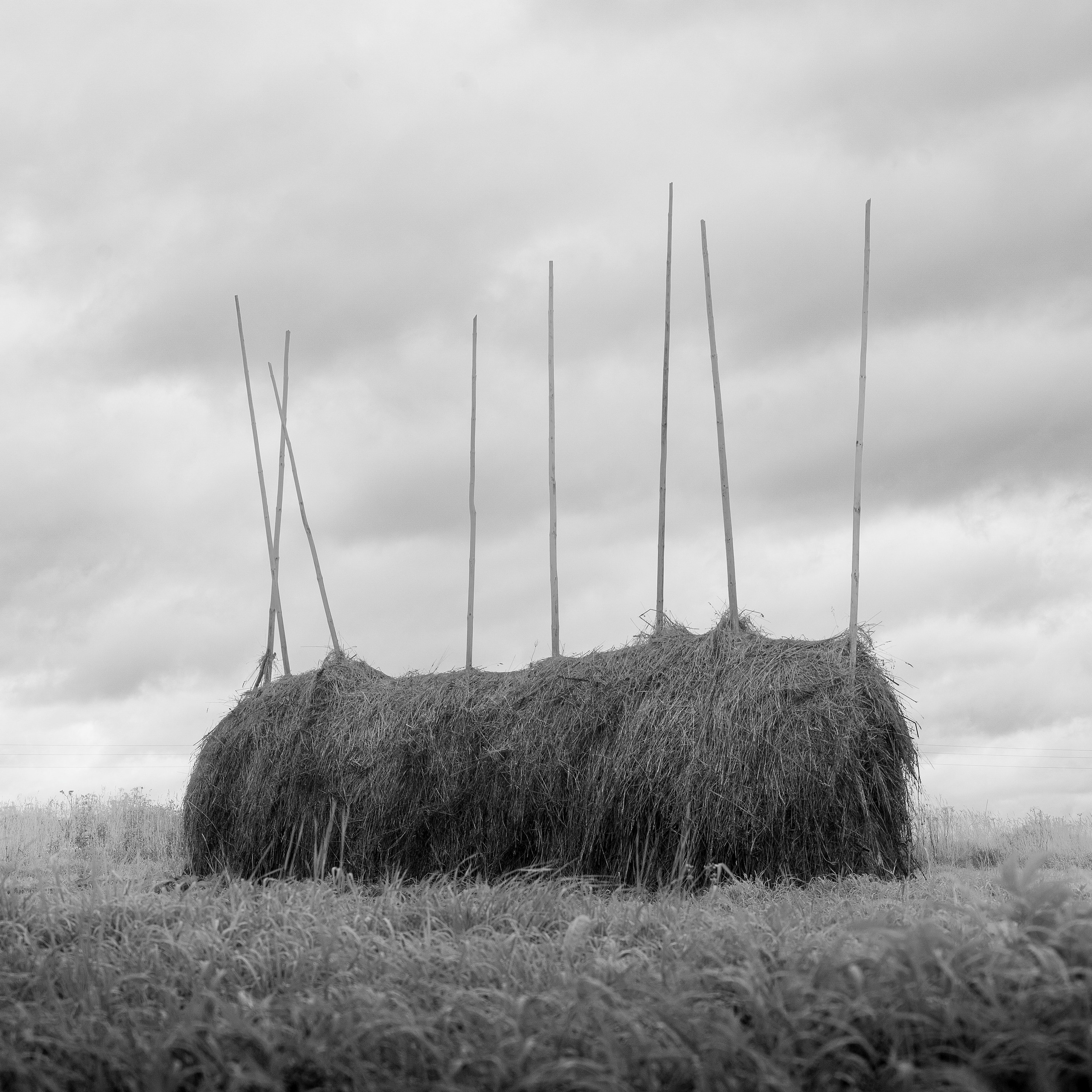 Деревня / Север I