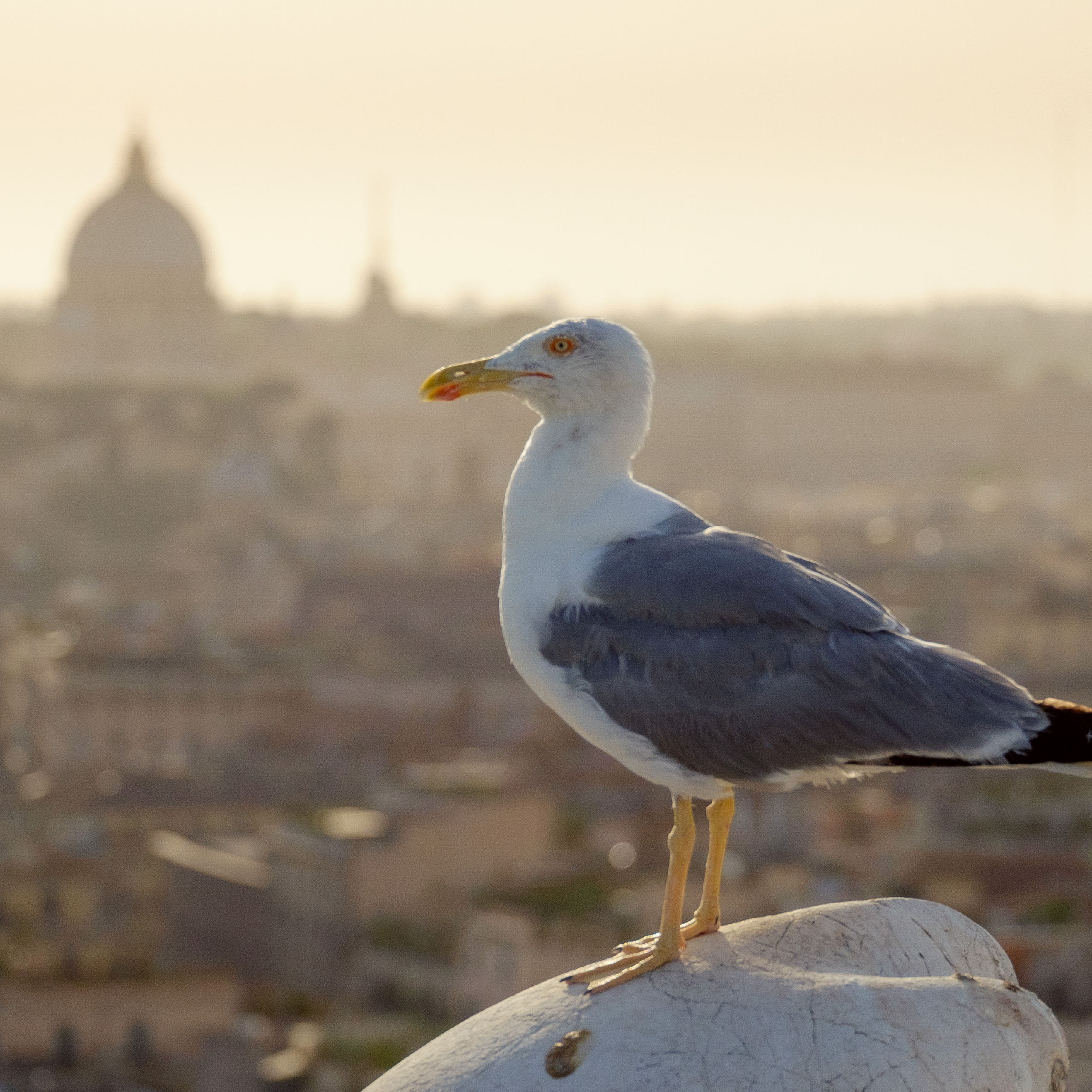 Италия. Антон Денисенко