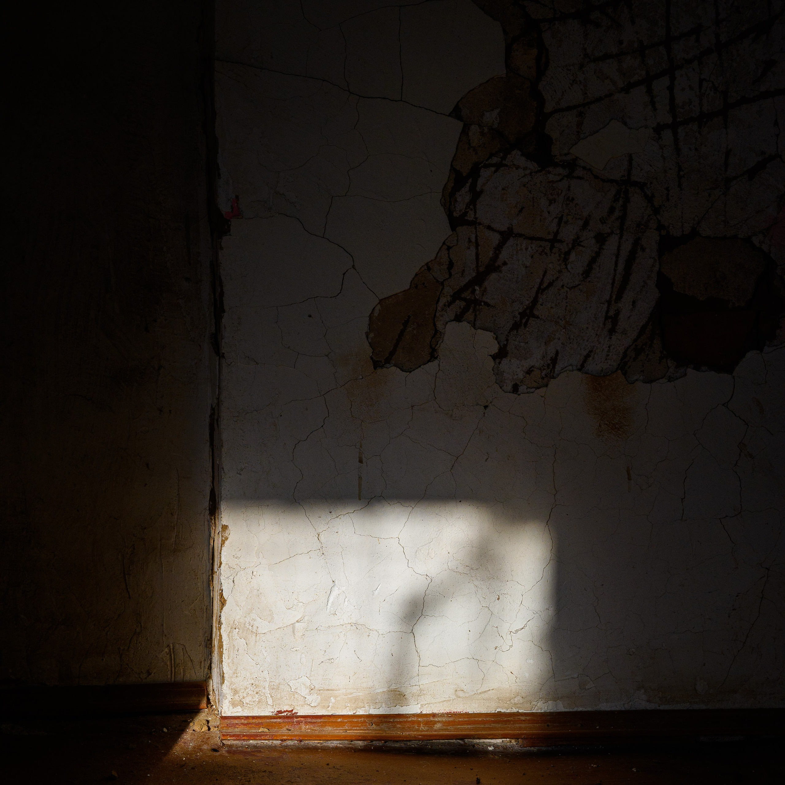 Увидеть свет. Антон Денисенко