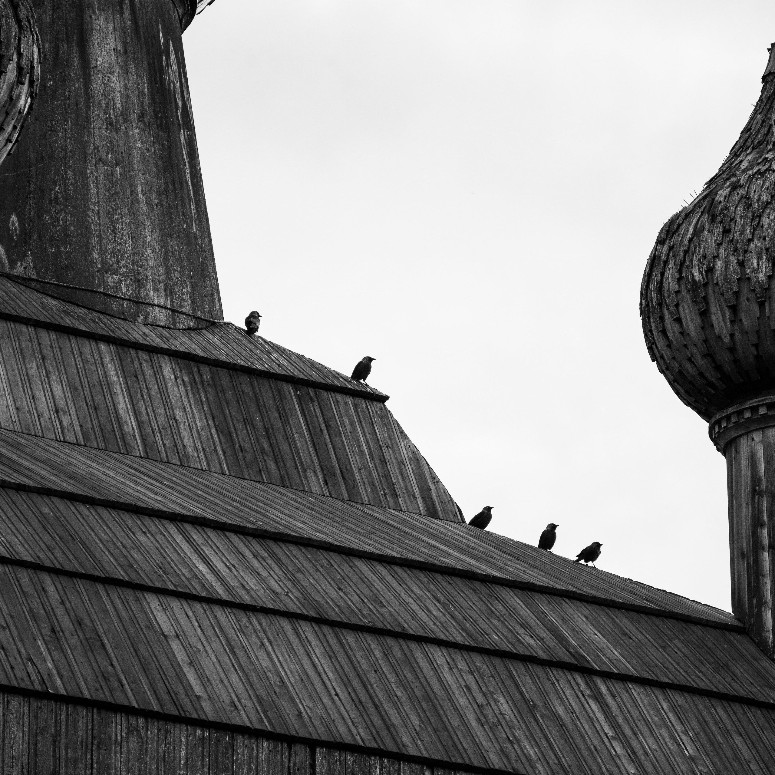 Деревня / Север II. Антон Денисенко