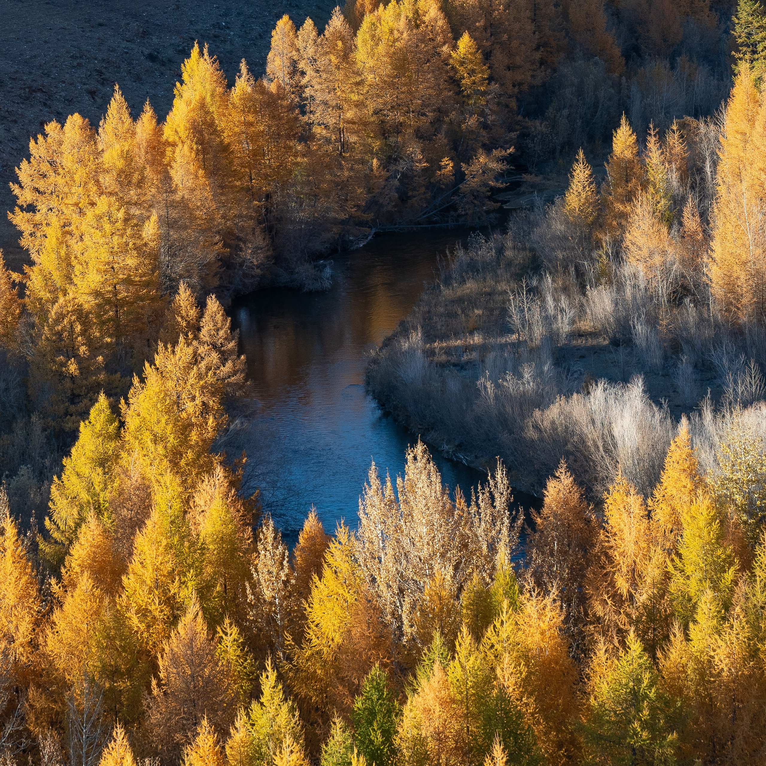 Горный Алтай. Антон Денисенко