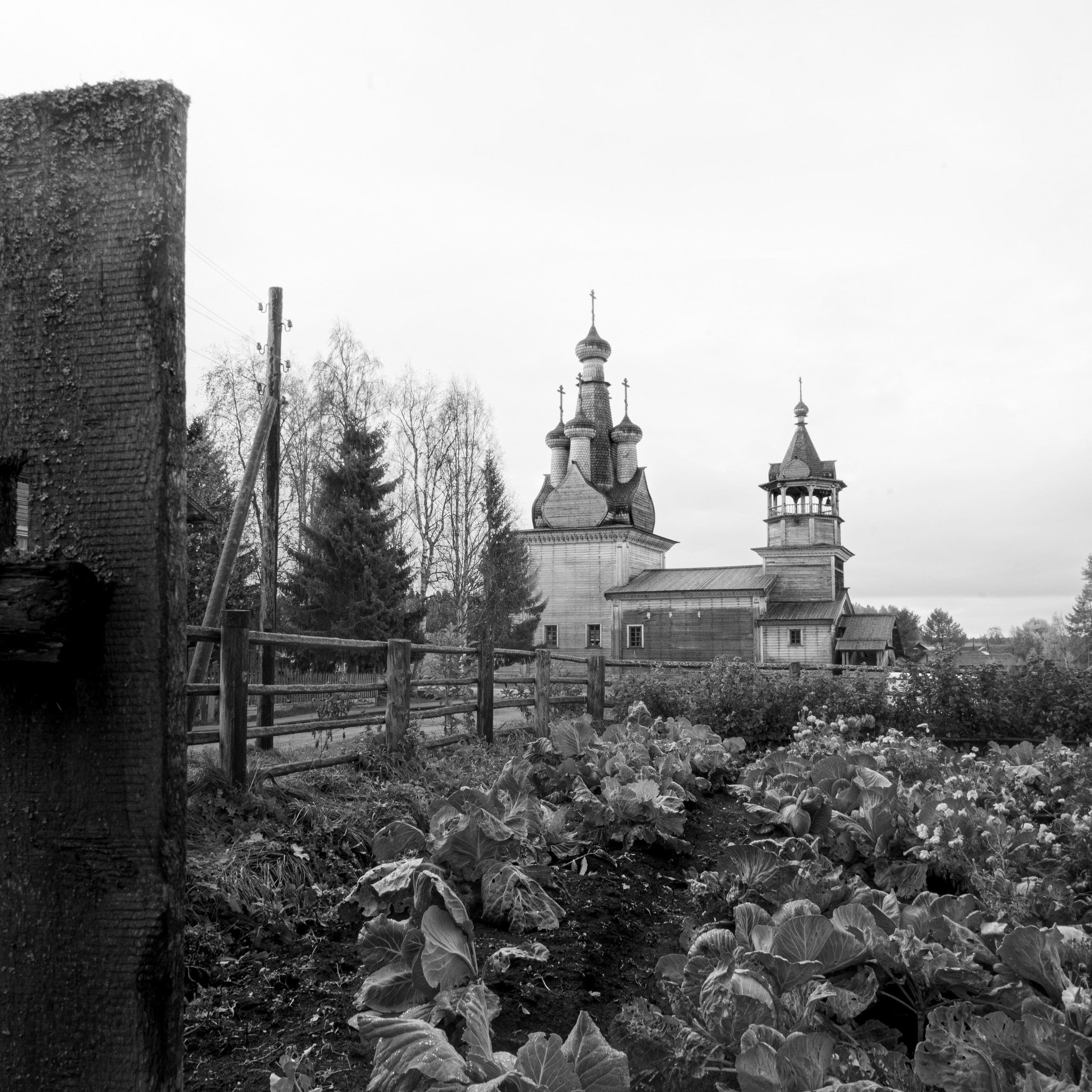 Деревня / Север II. Антон Денисенко