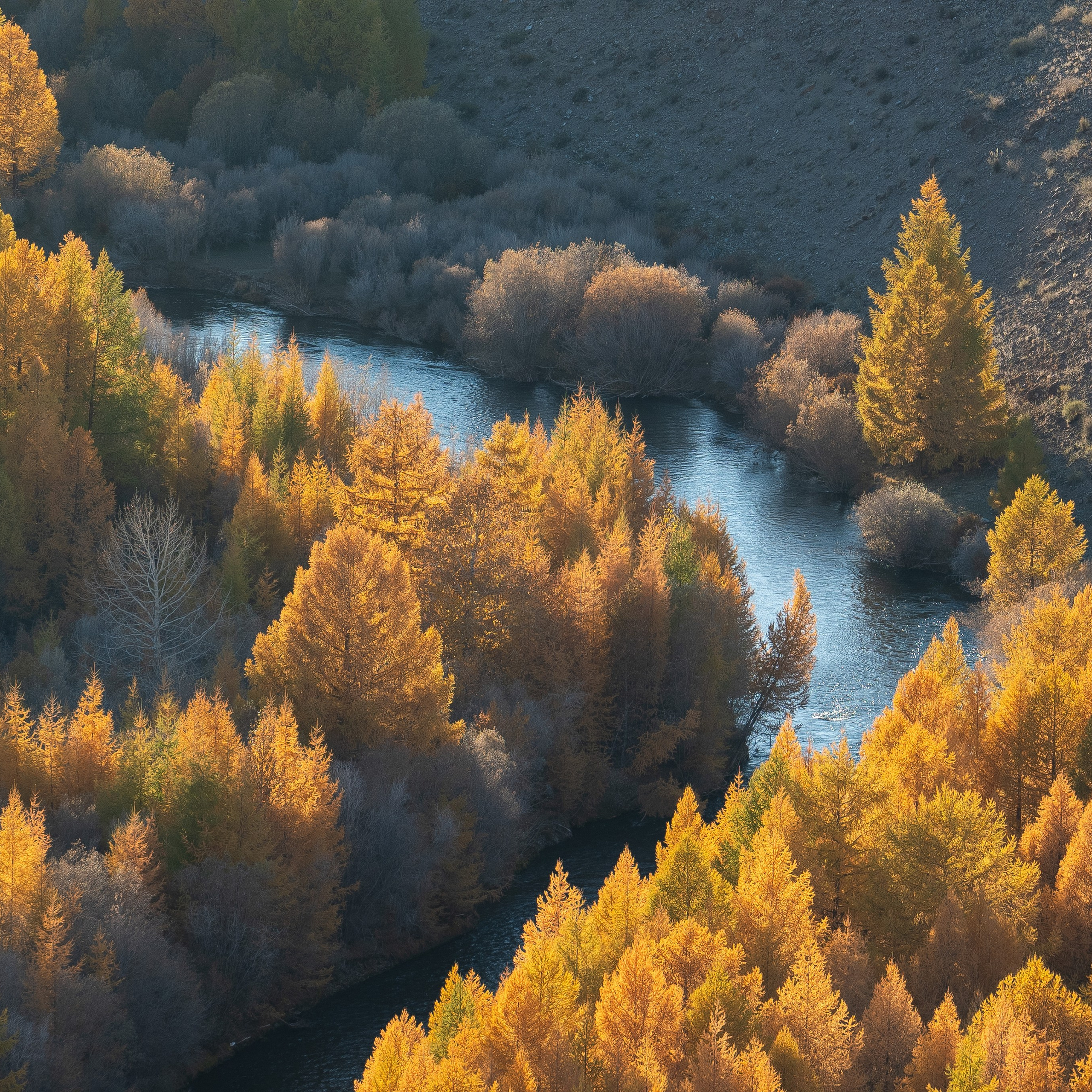 Горный Алтай. Антон Денисенко