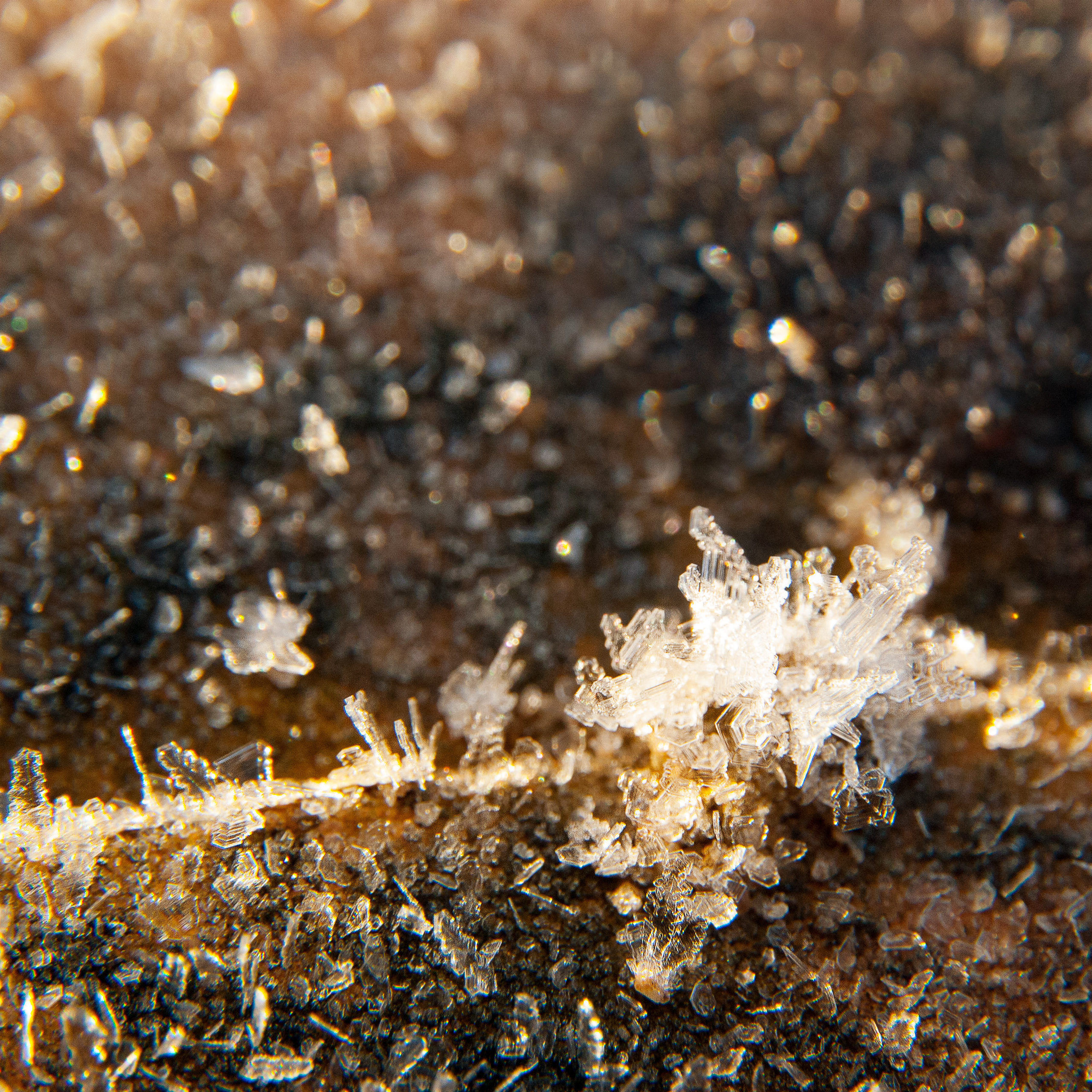 Иней. Антон Денисенко