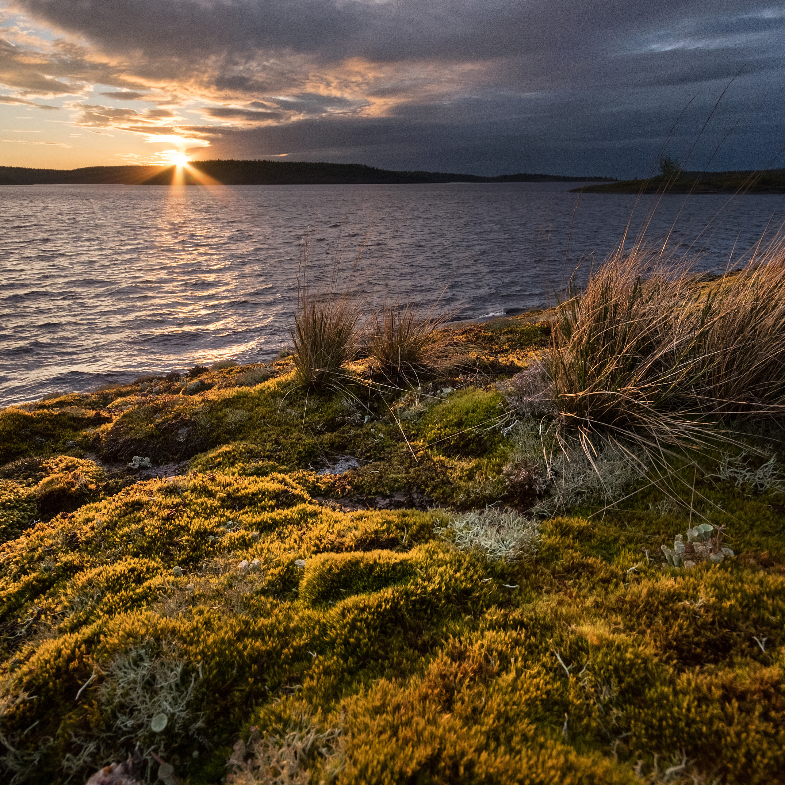 Карелия. Антон Денисенко