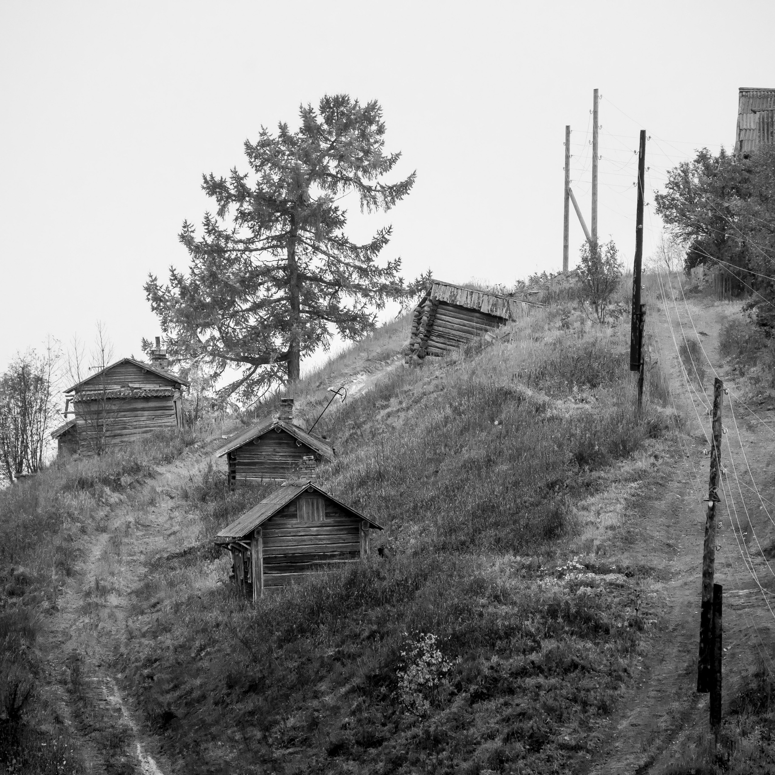 Деревня / Север II. Антон Денисенко