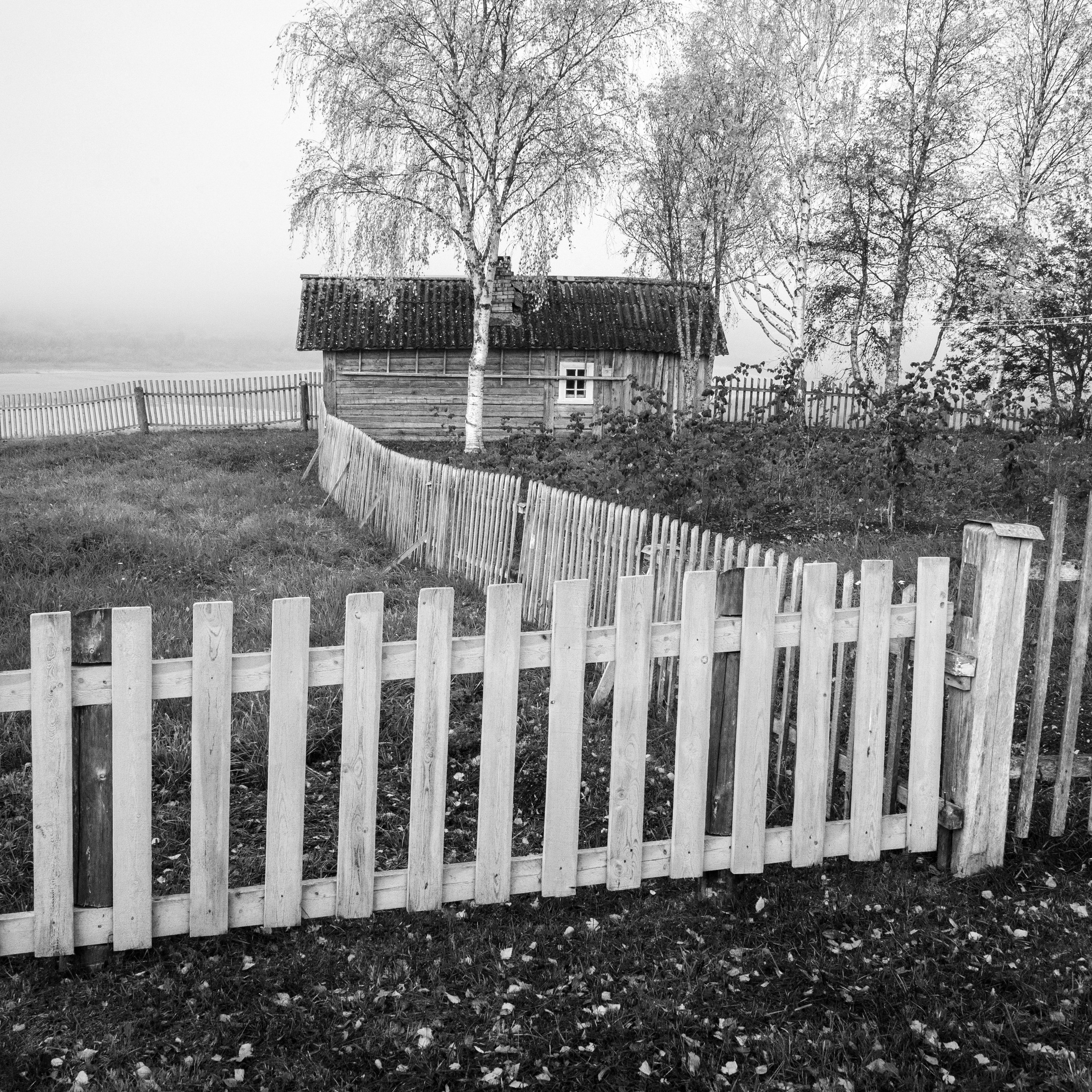 Деревня / Север II. Антон Денисенко