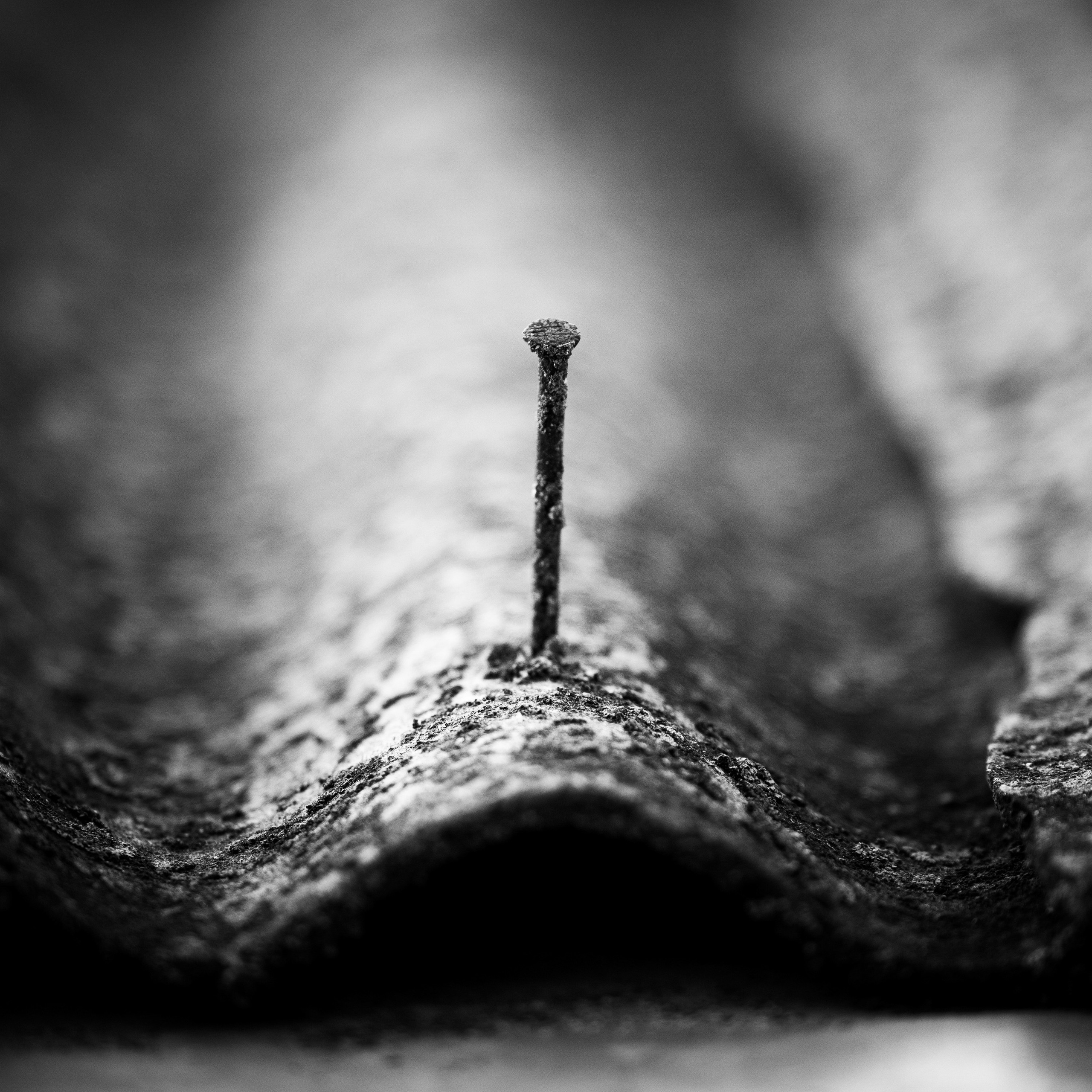 Деревня / Юг. Антон Денисенко