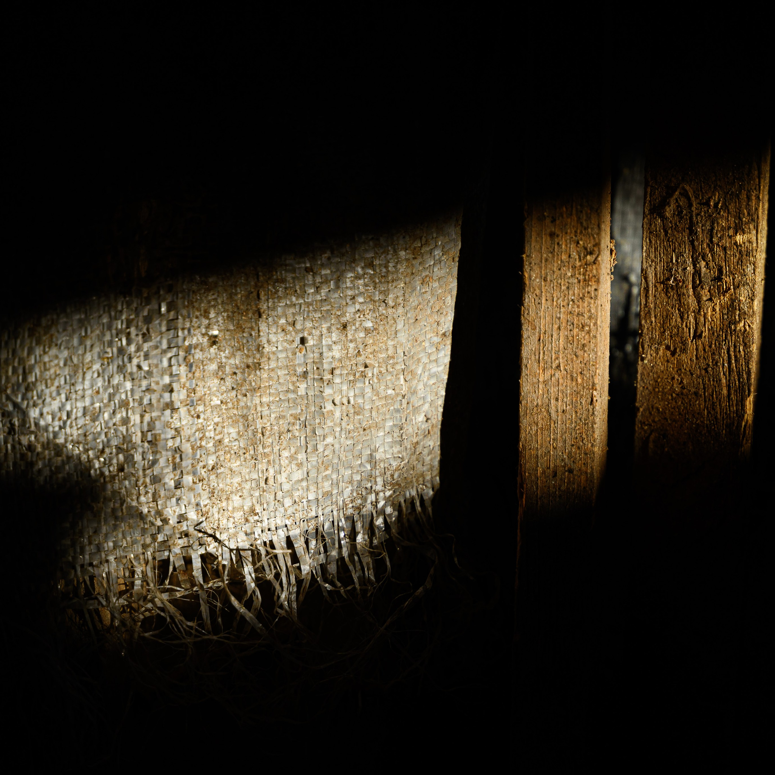 Увидеть свет. Антон Денисенко