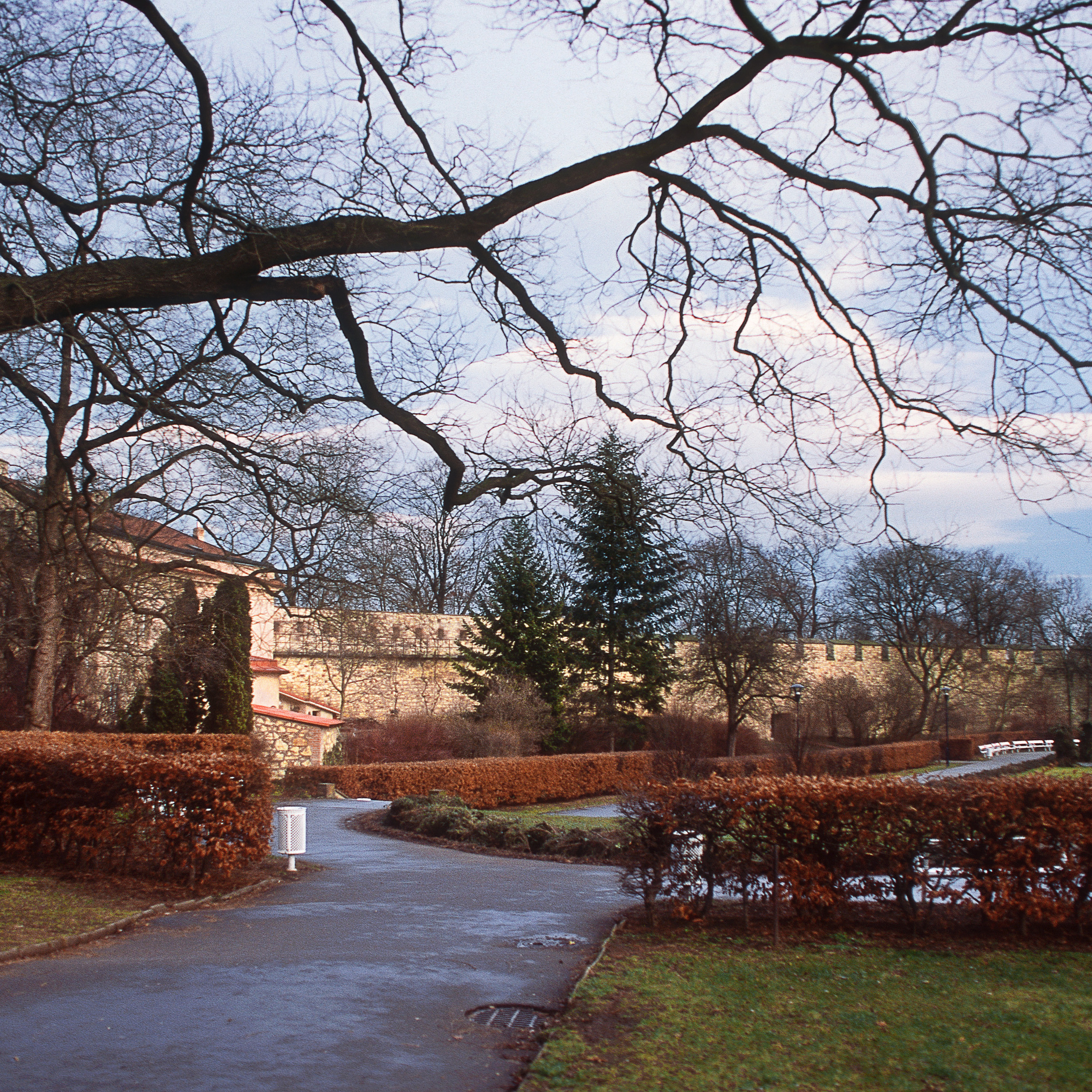 Прага. Антон Денисенко