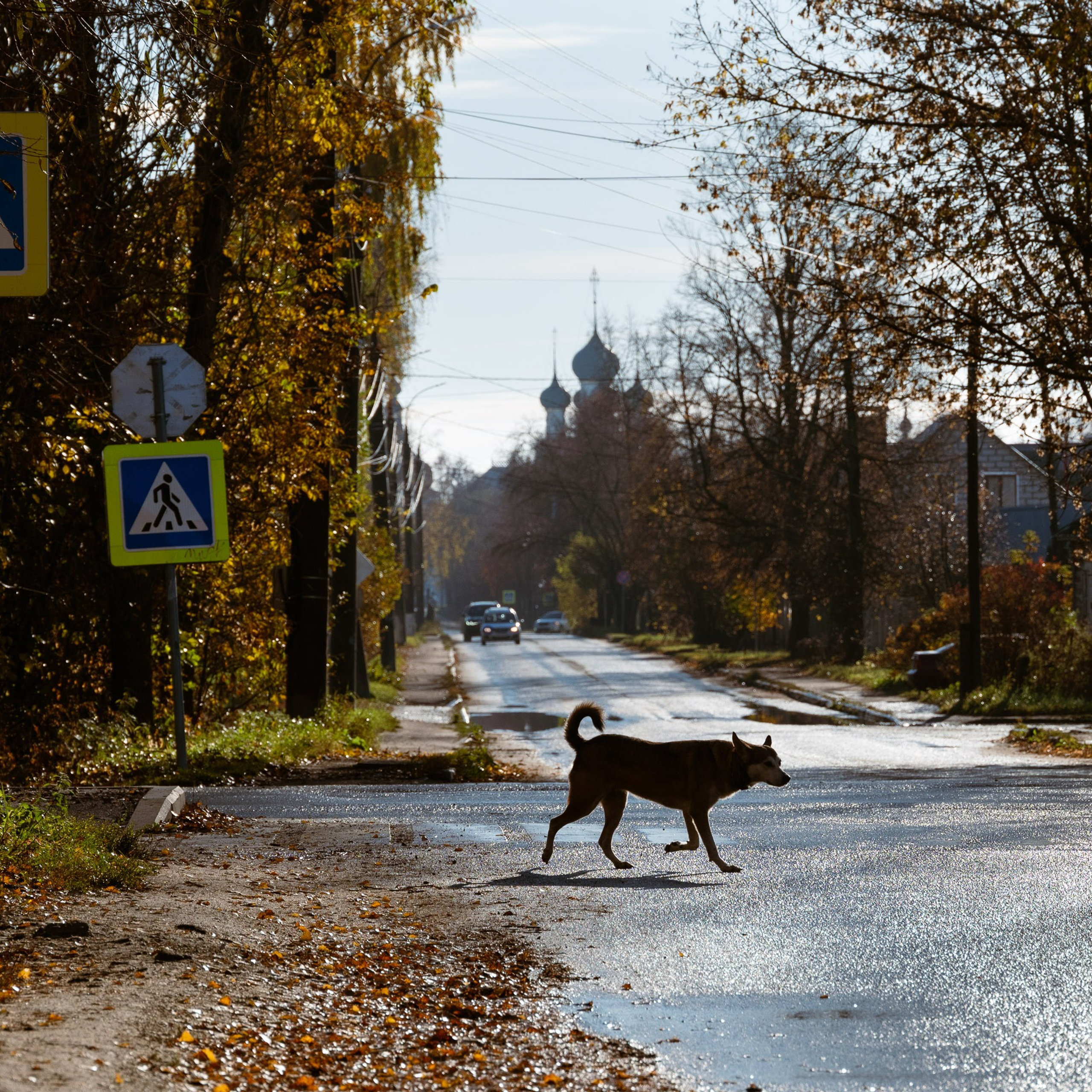 Ростов Великий. В километре от кремля. Антон Денисенко