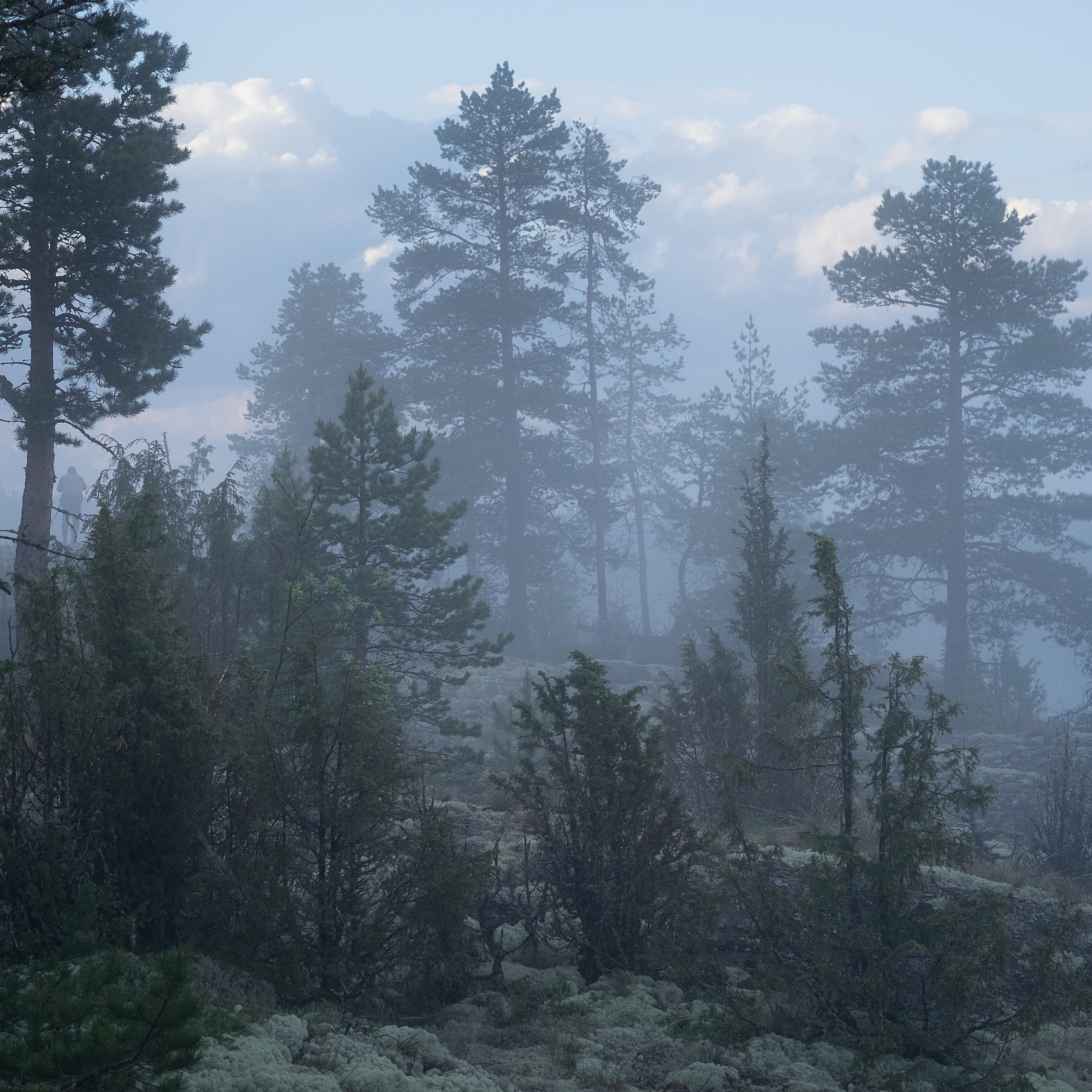 Карелия. Антон Денисенко