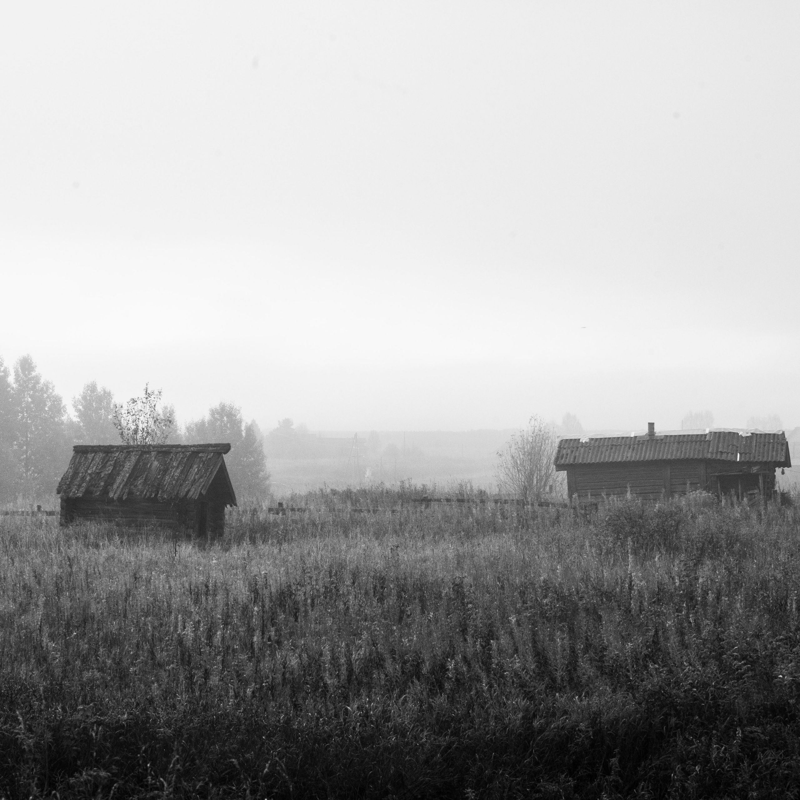 Деревня / Север II. Антон Денисенко