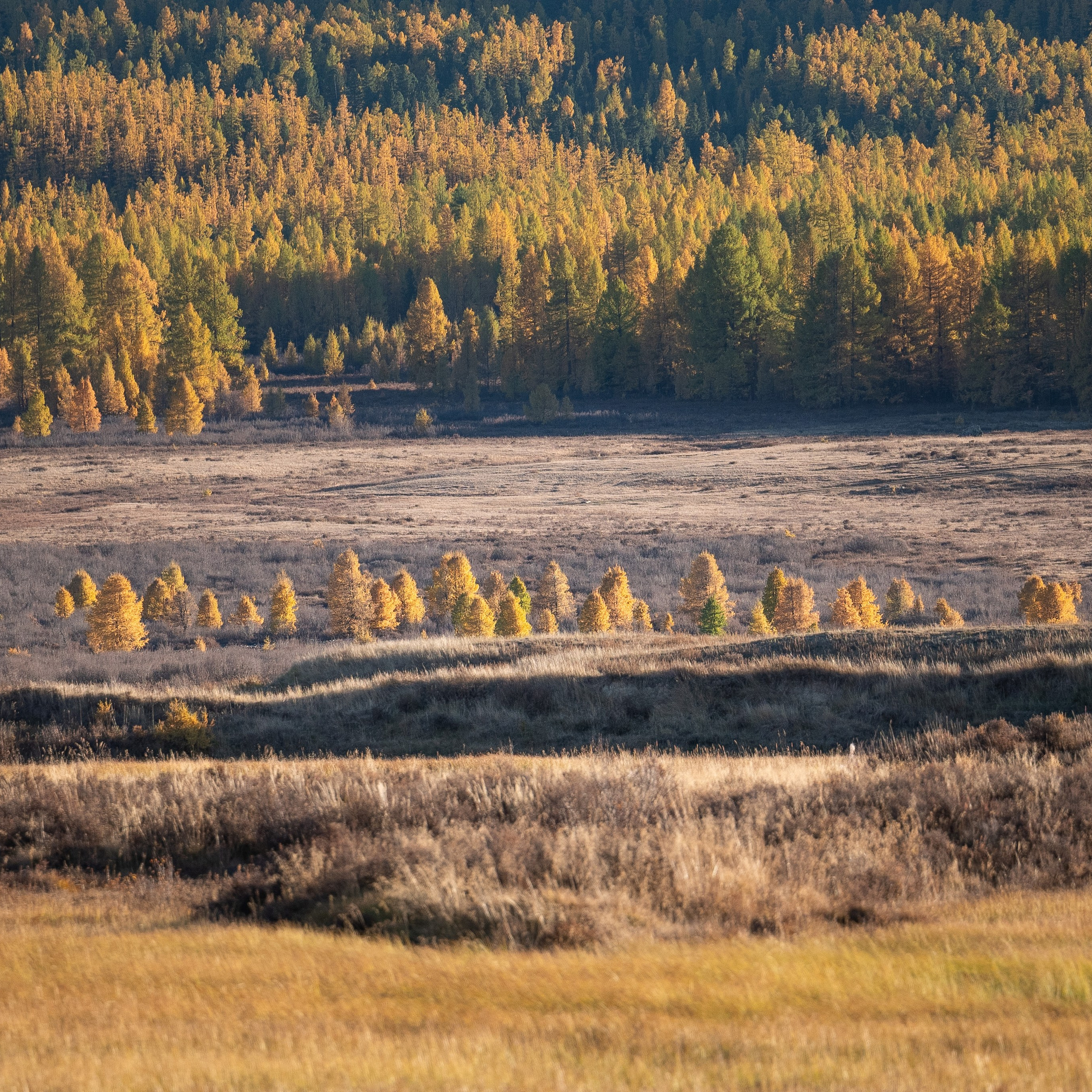 Горный Алтай. Антон Денисенко
