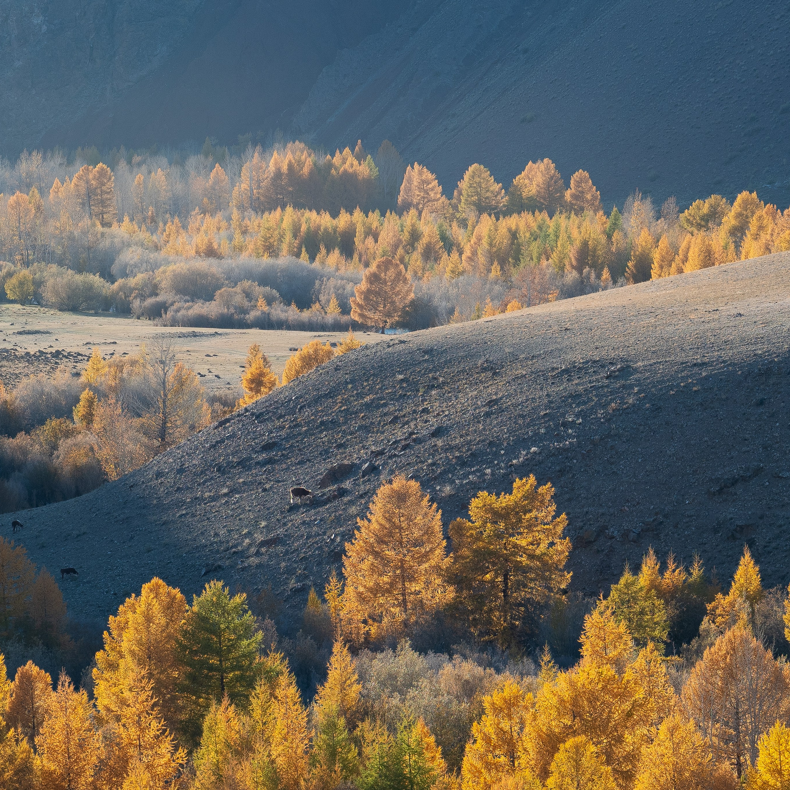 Горный Алтай. Антон Денисенко
