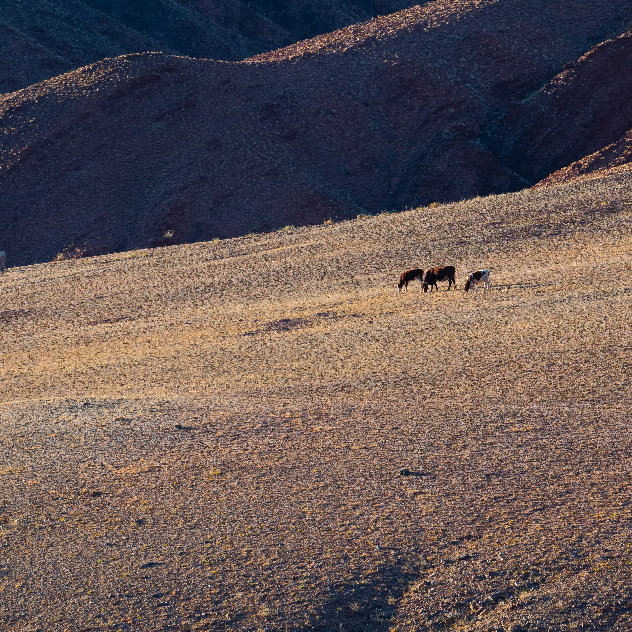Горный Алтай. Антон Денисенко