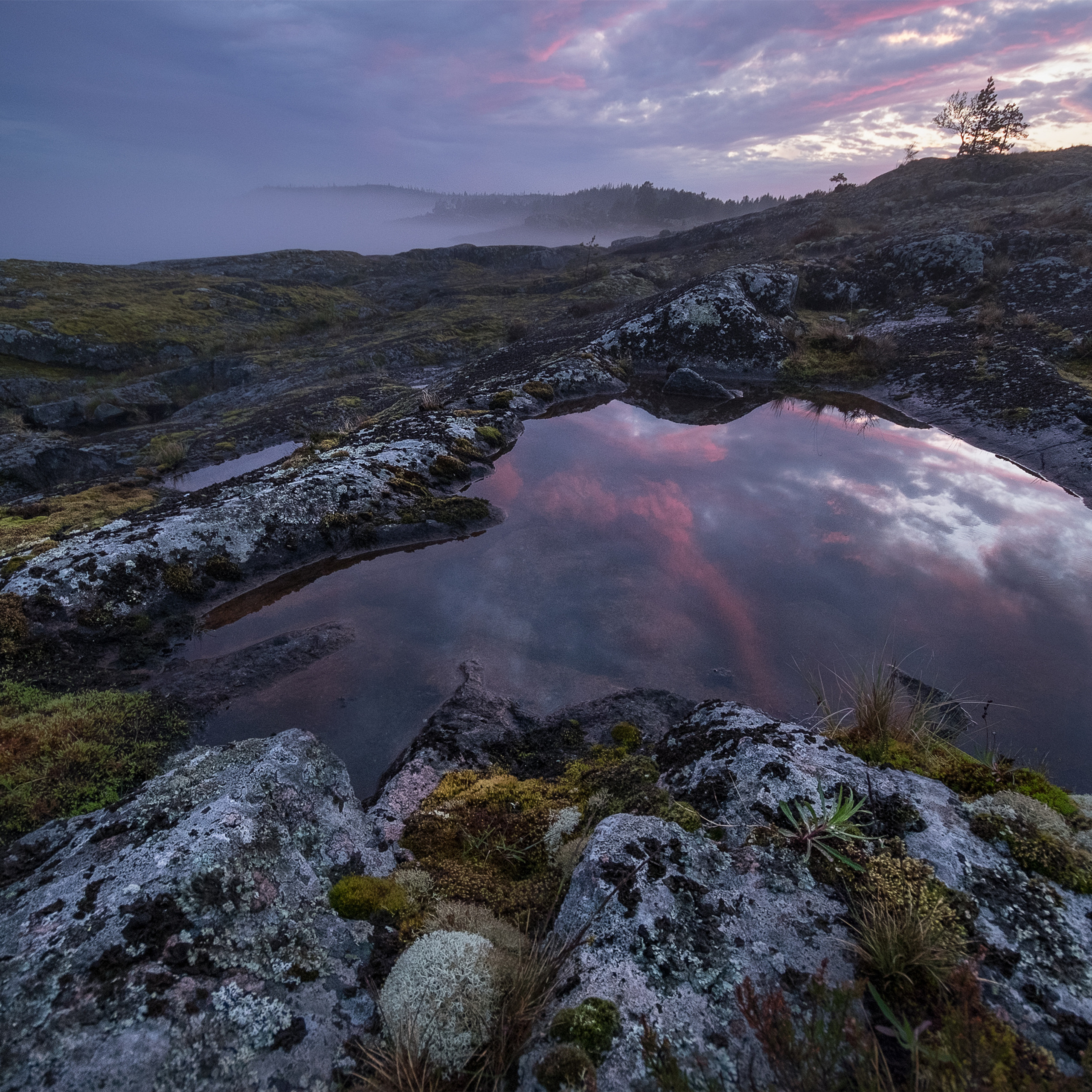 Карелия. Антон Денисенко