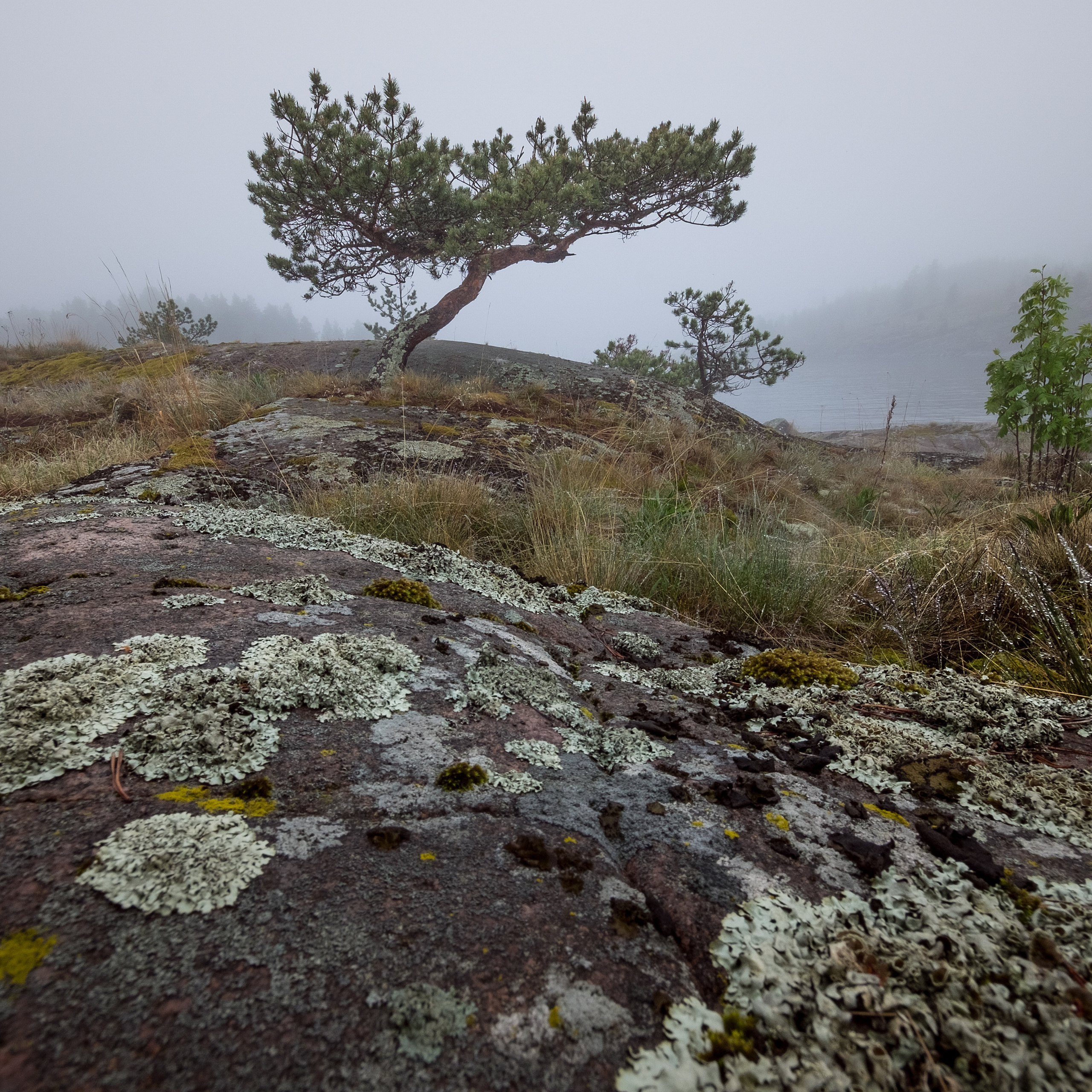 Карелия. Антон Денисенко