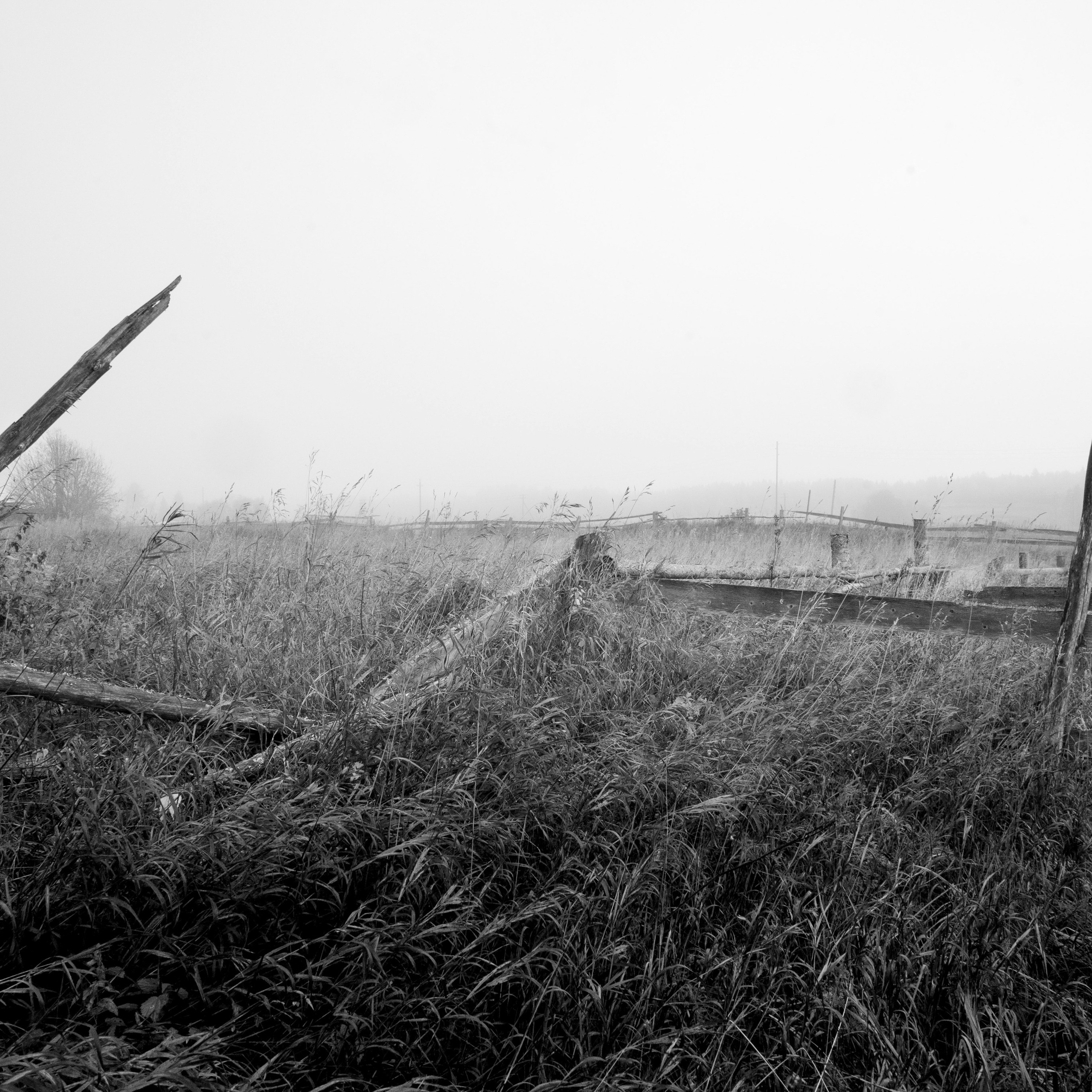 Деревня / Север II. Антон Денисенко