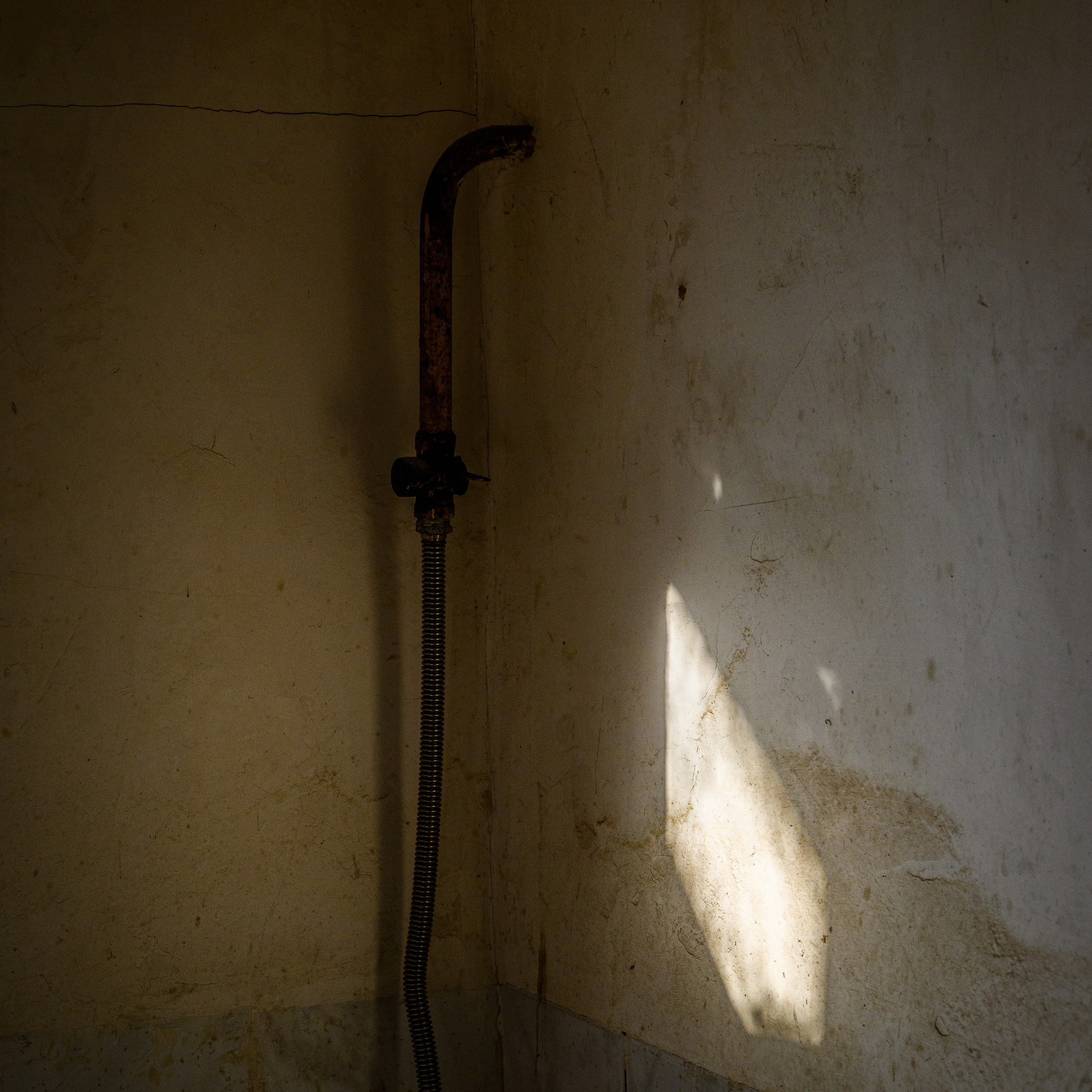 Увидеть свет. Антон Денисенко