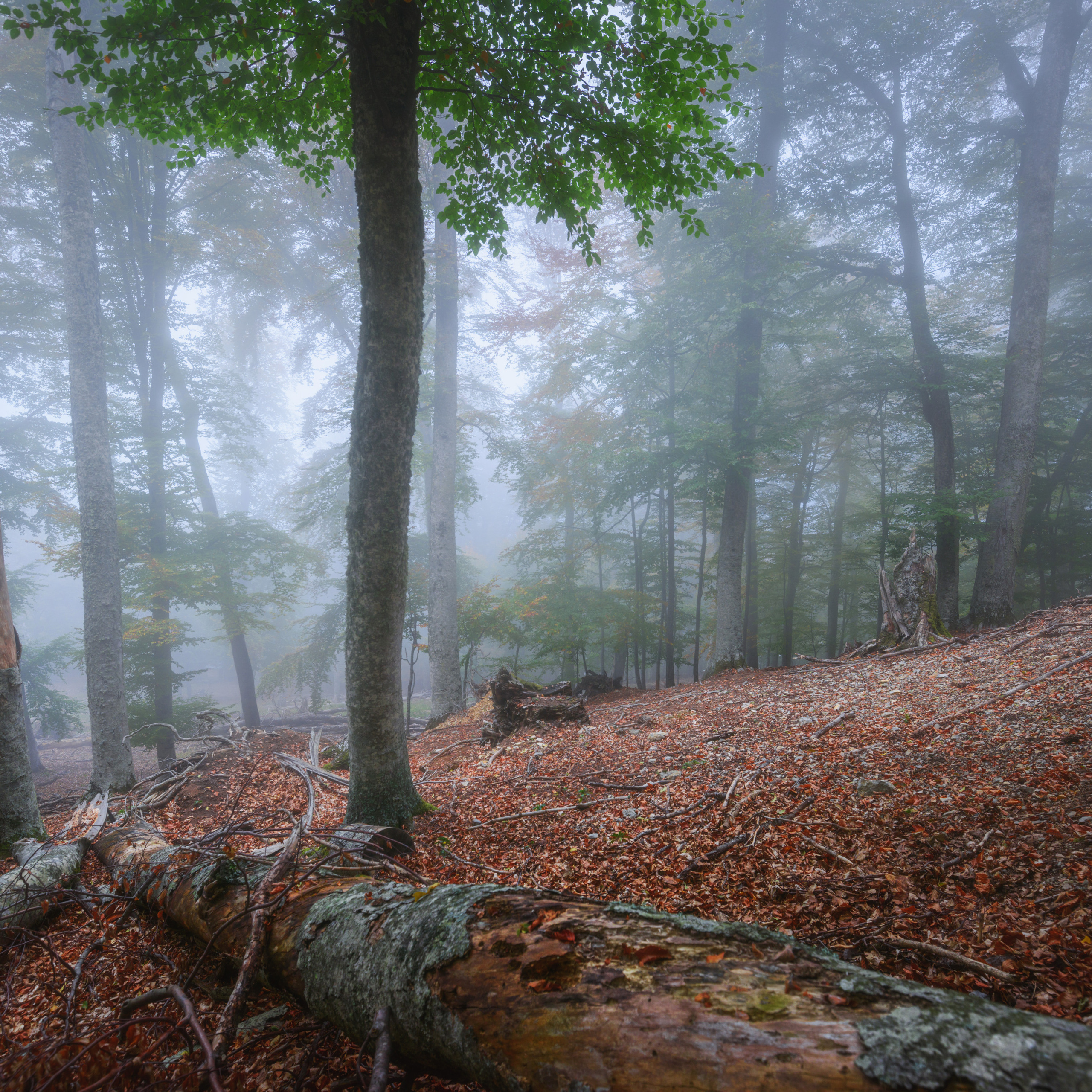 Крым. Антон Денисенко