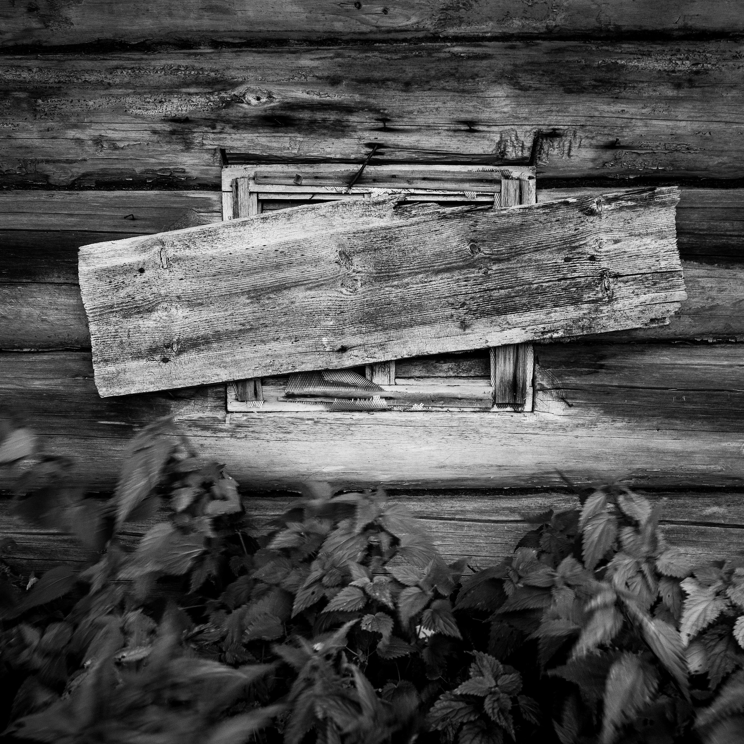 Деревня / Север I. Антон Денисенко