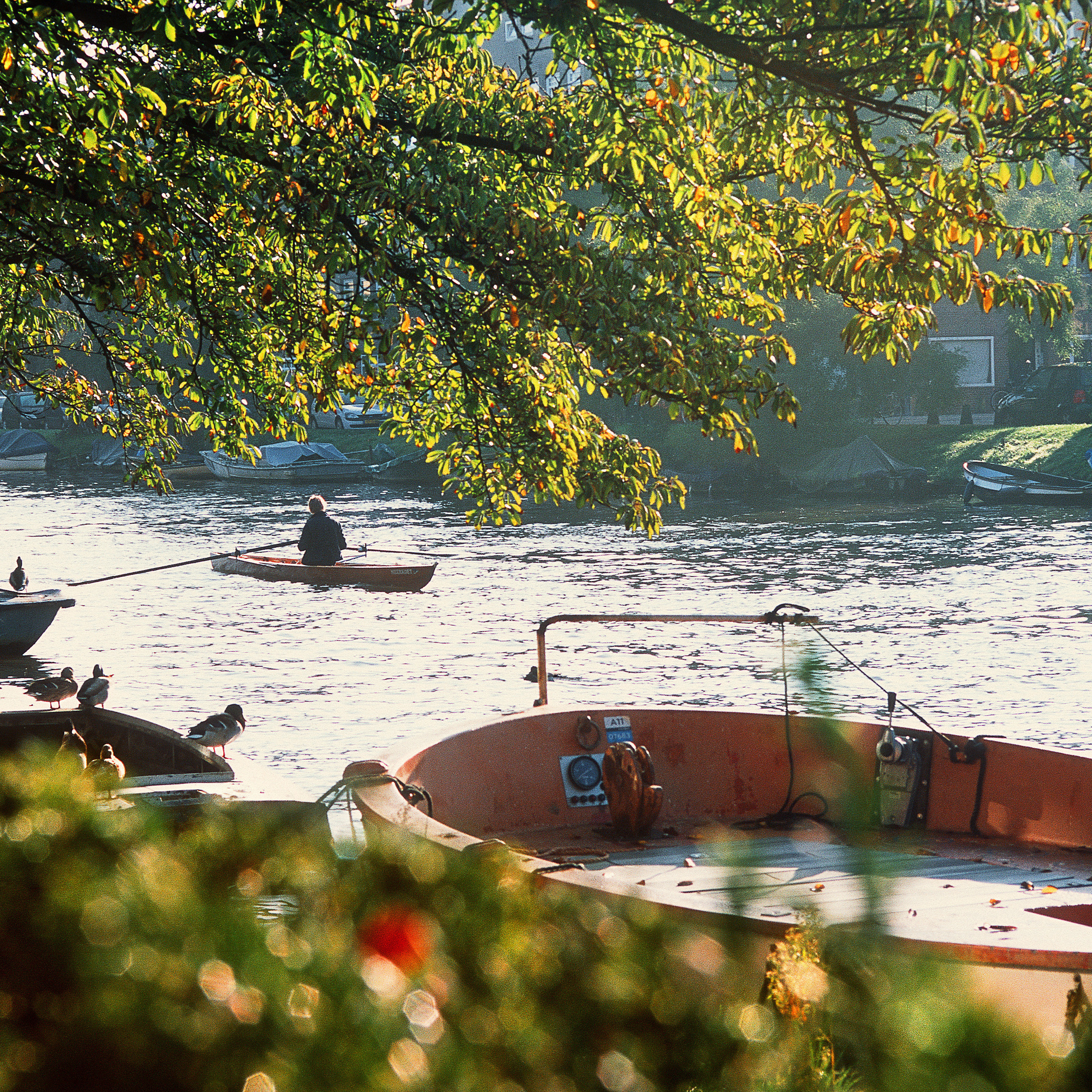 Амстердам II. Антон Денисенко